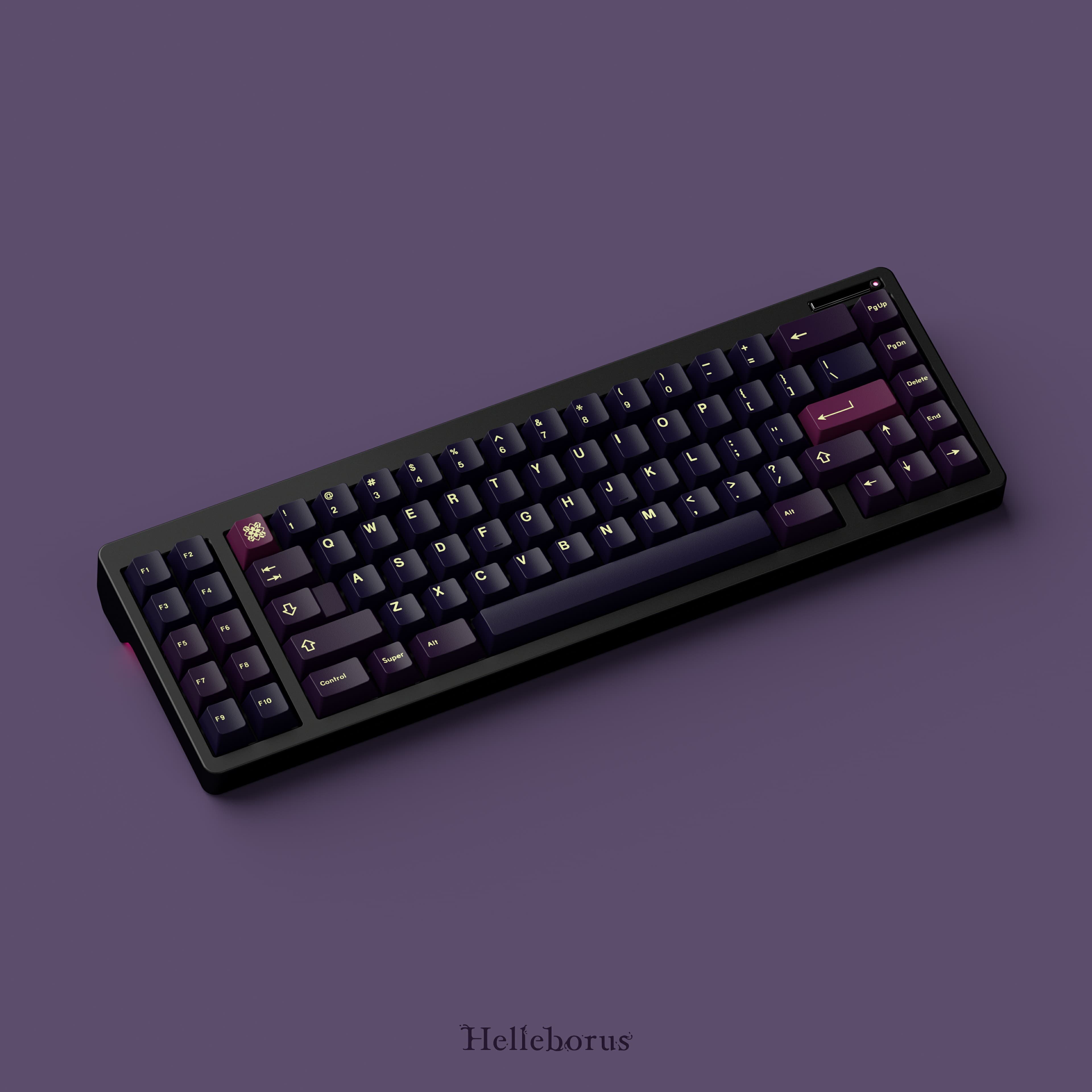 【IC】Key Kobo-Helleborus |Christmas Roses blooming in the dark night image 11