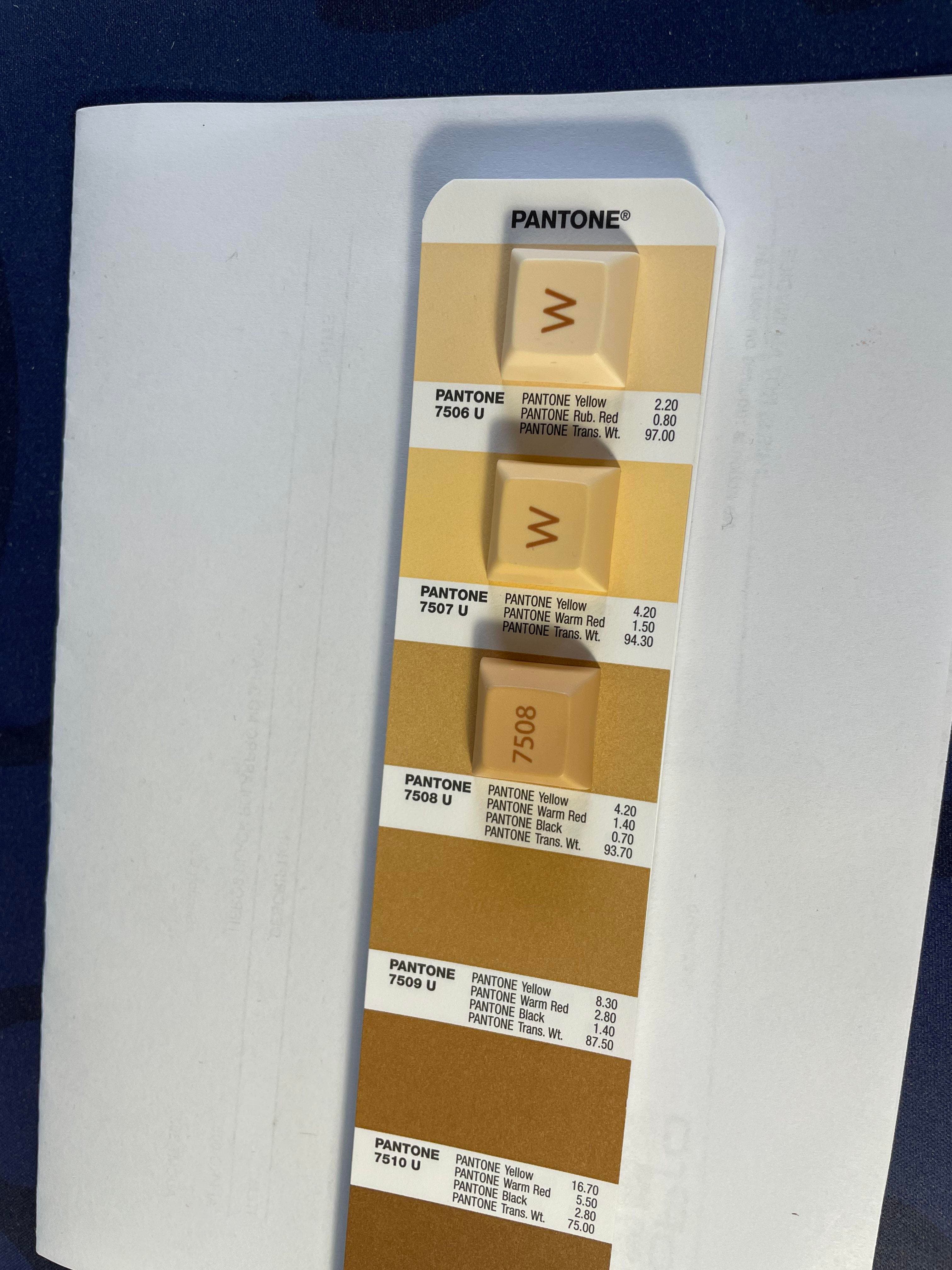 KAM Ocean Front - Update - Groupbuy up! image 37