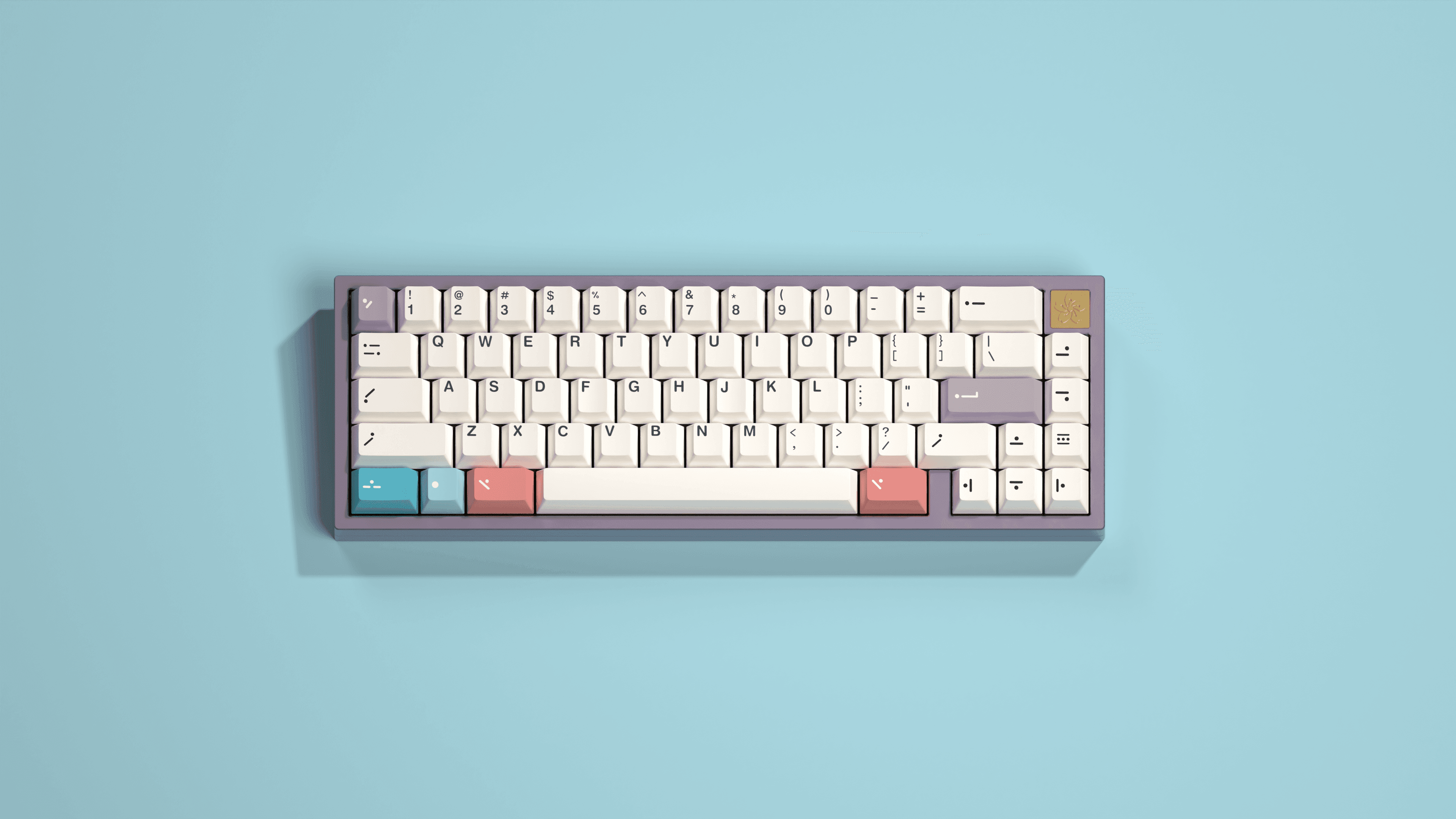 Epbt Dreamer image 11