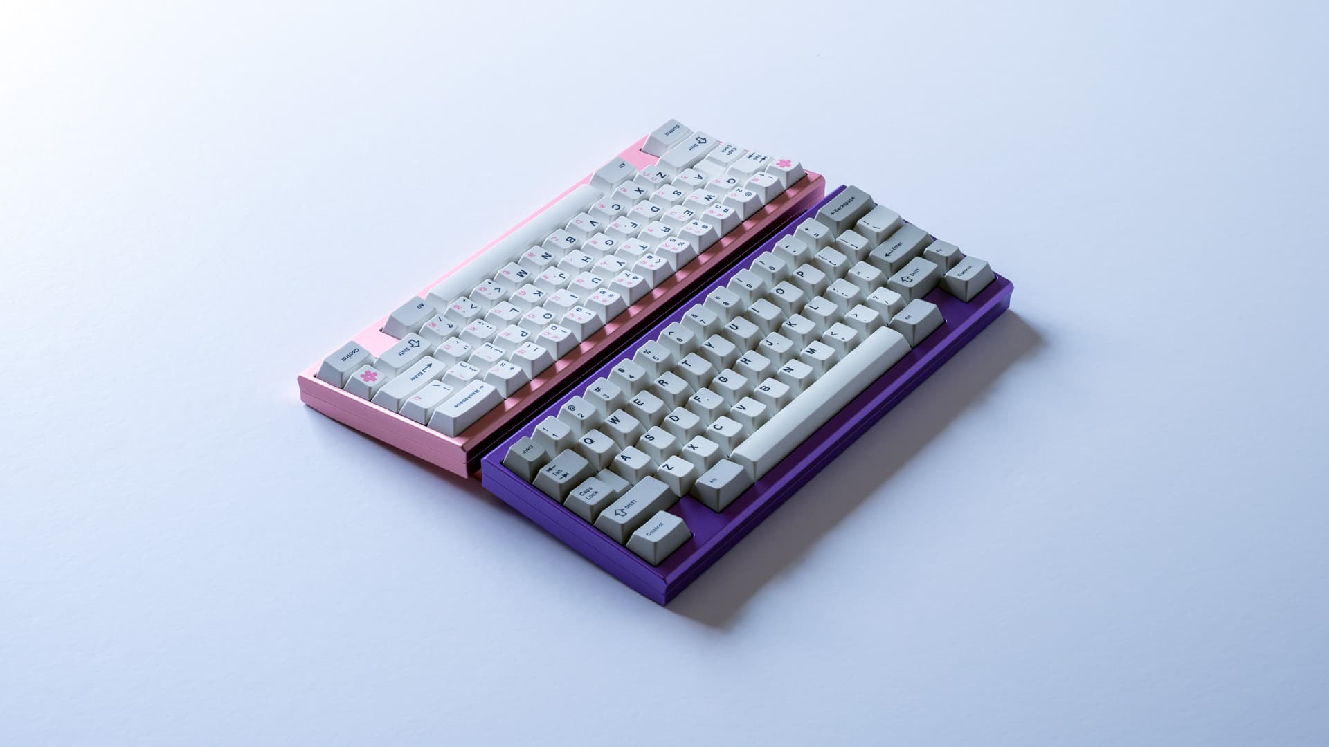 Petals Sixty - Paul x Sour (GB IS LIVE) image 19