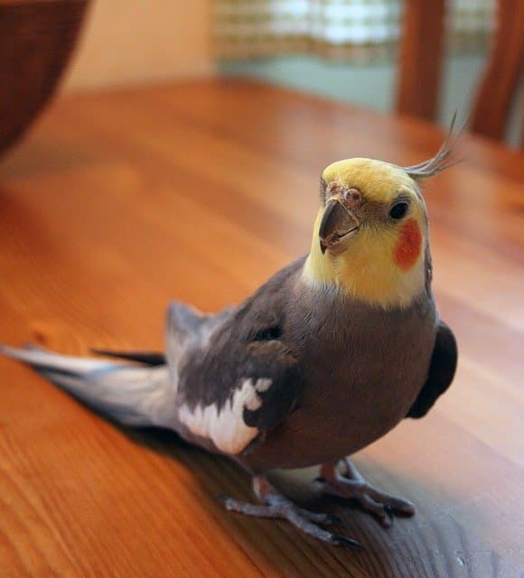 GMK Tiel image 4
