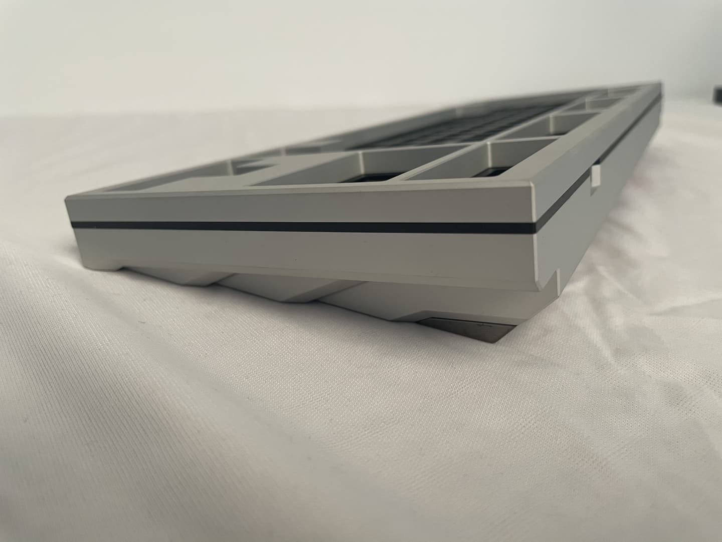 Serratus by Keynergy image 15