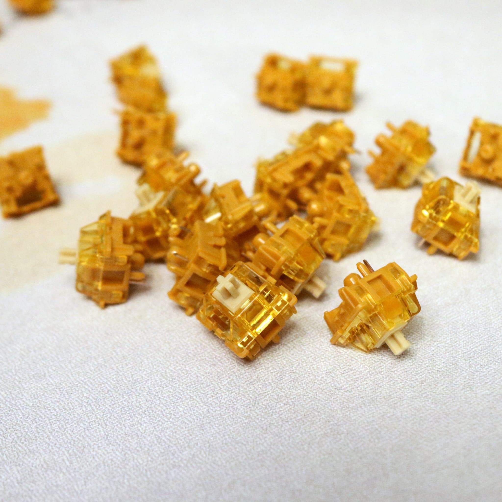 Honey Switches | GB LIVE image 10