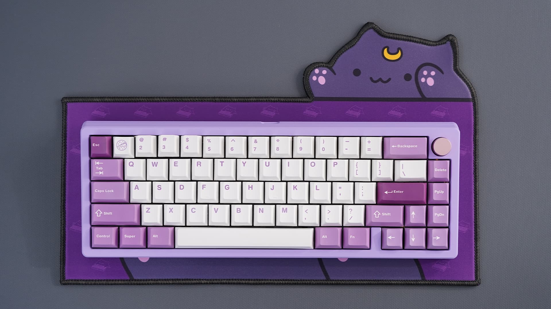 Clickitty Clackitty Catpads (aka Bongomat) - GB Live - ends 30 Dec image 38