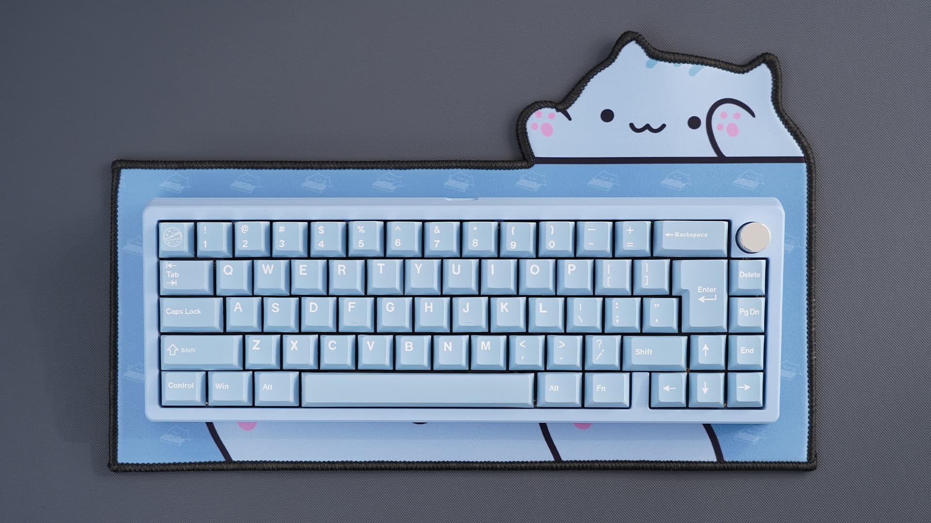 Clickitty Clackitty Catpads (aka Bongomat) - GB Live - ends 30 Dec image 6