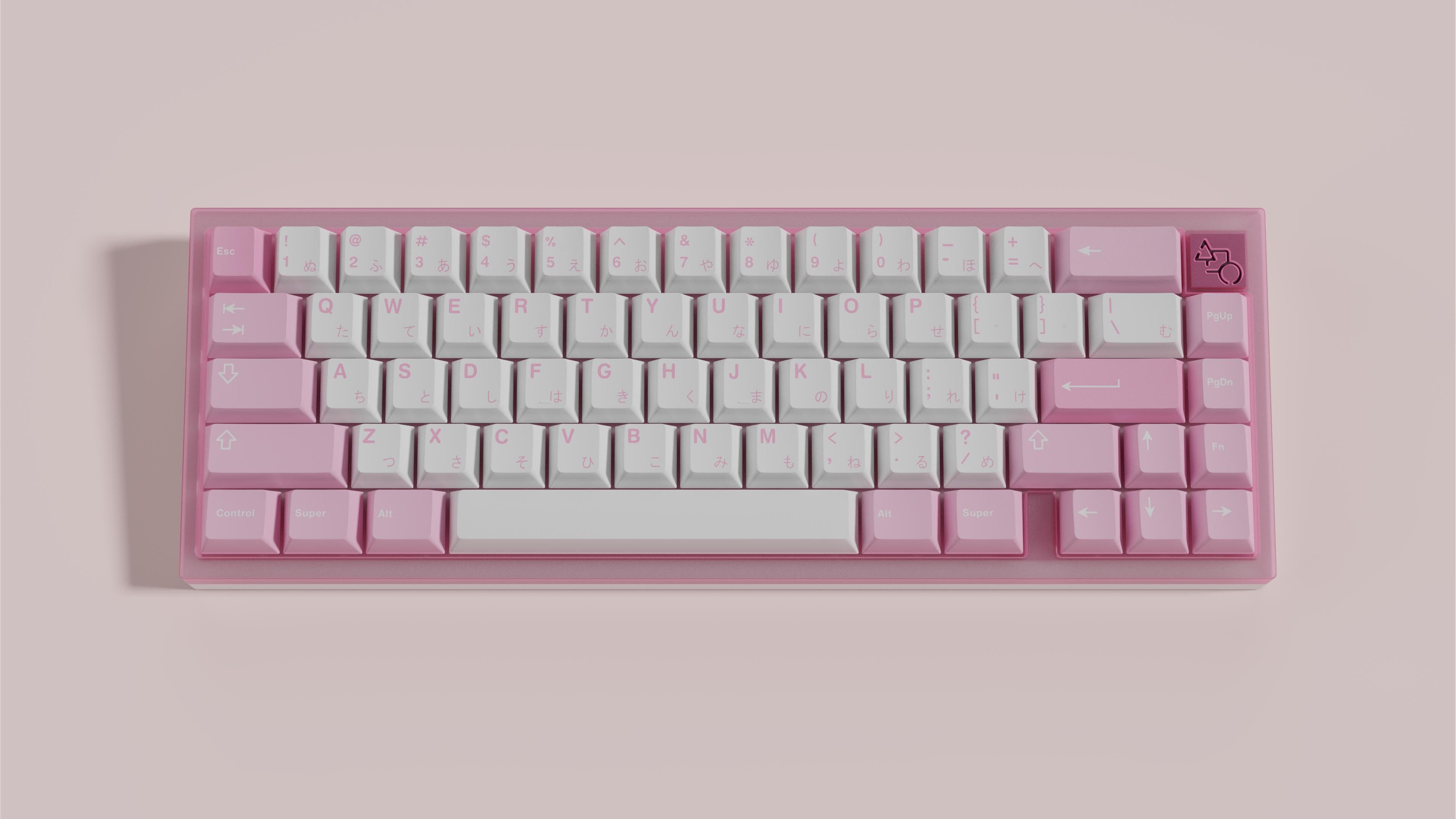 TOMOCAPS Tsubaki (椿) image 2