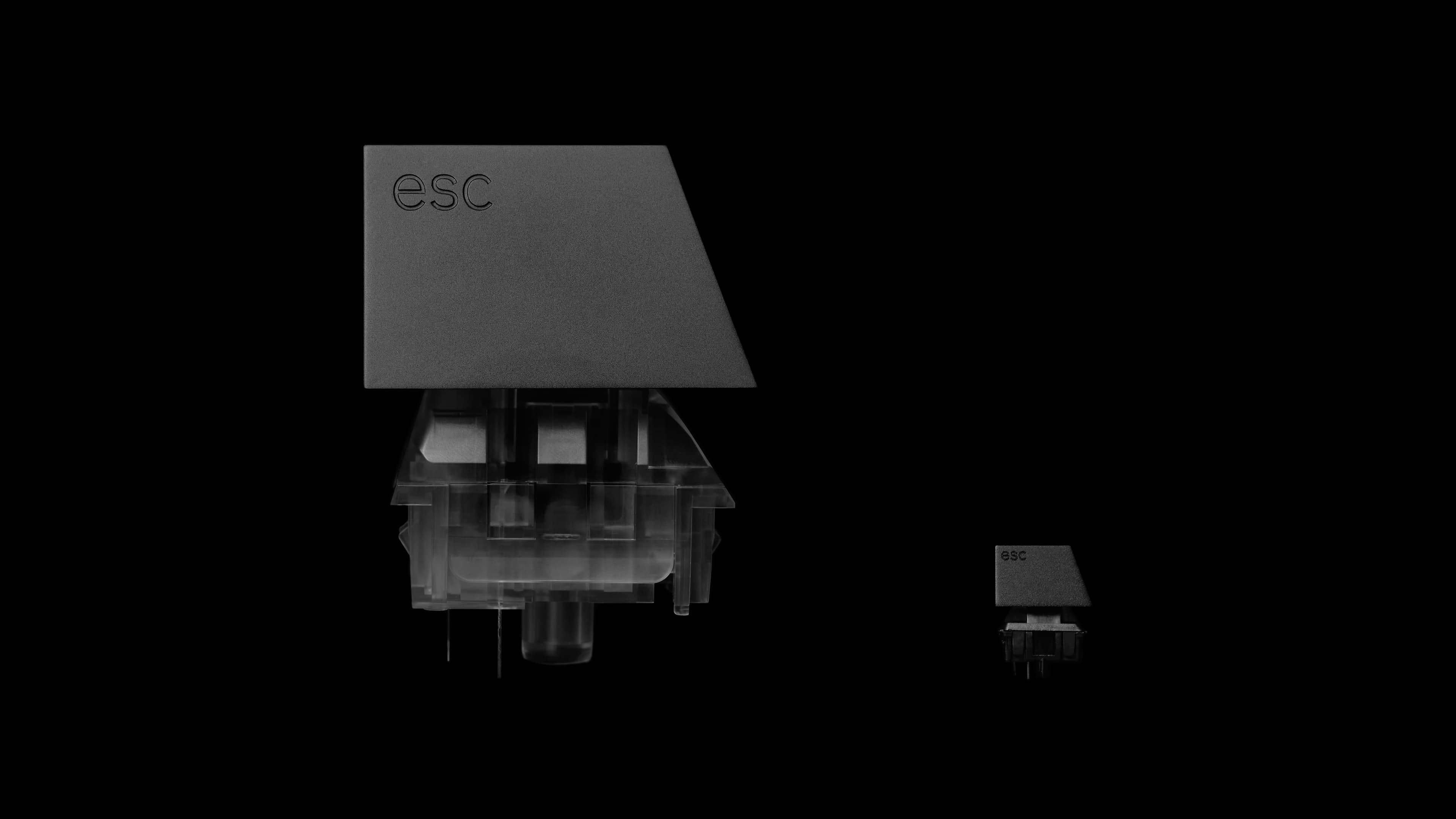 Series 00 XXXXL | 1:1 custom-engraved XXXXL for Mints for Health 2021 image 15