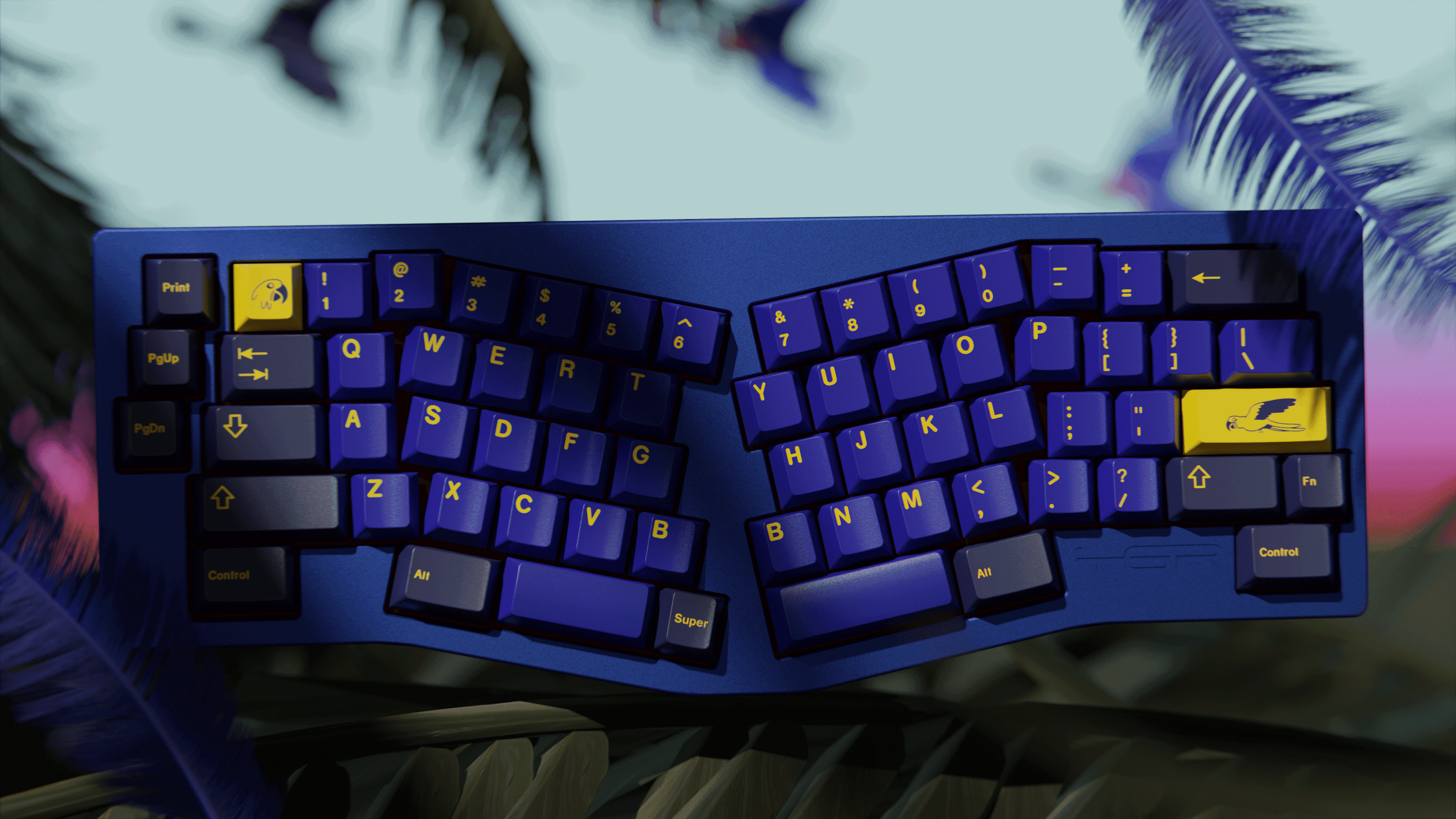 GMK Dream Bird image 2