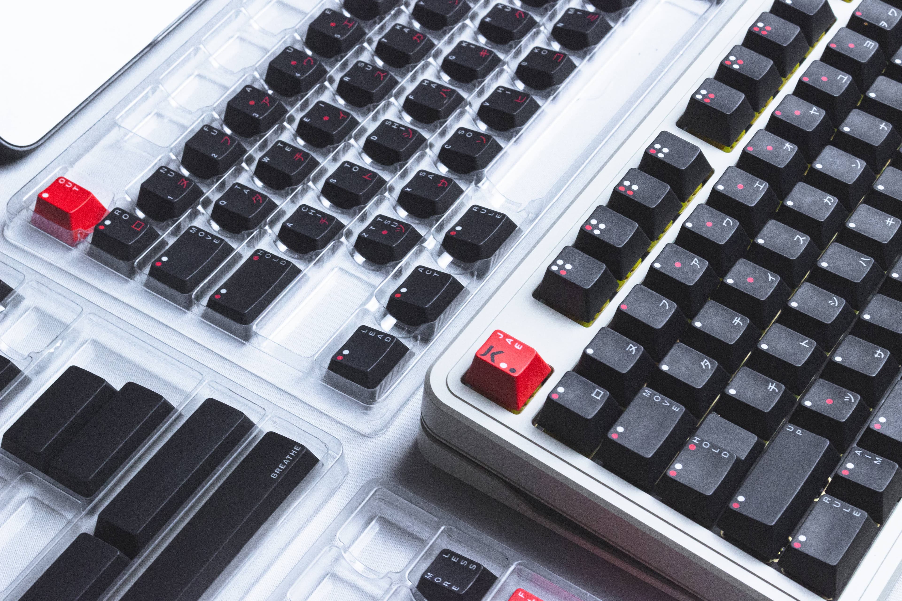 WS x Jaekeyed (赤灰色) Aka Haiiro image 25