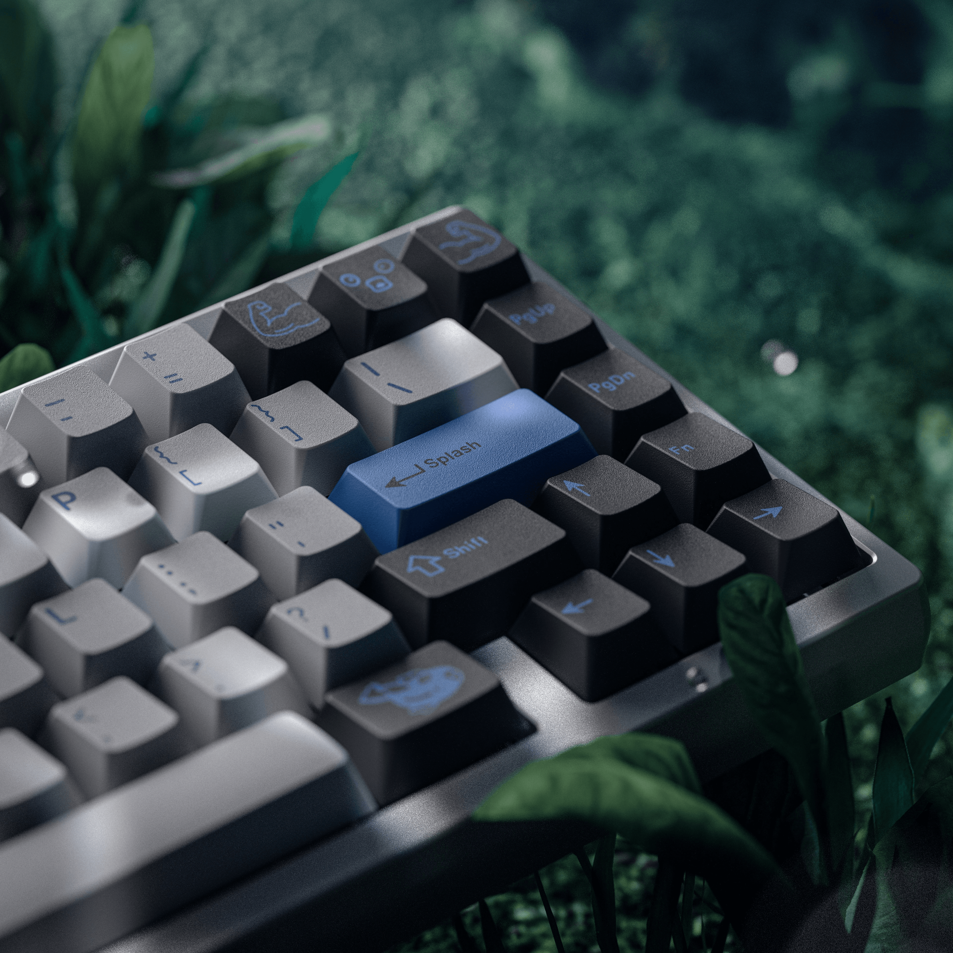 GMK CYL Splash | 25th Dec 2025 - 25th Jan 2026 image 9