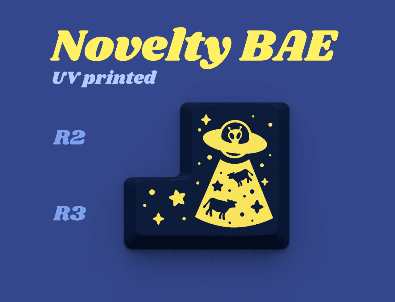 DCS UFO | 2nd�15th February image 11