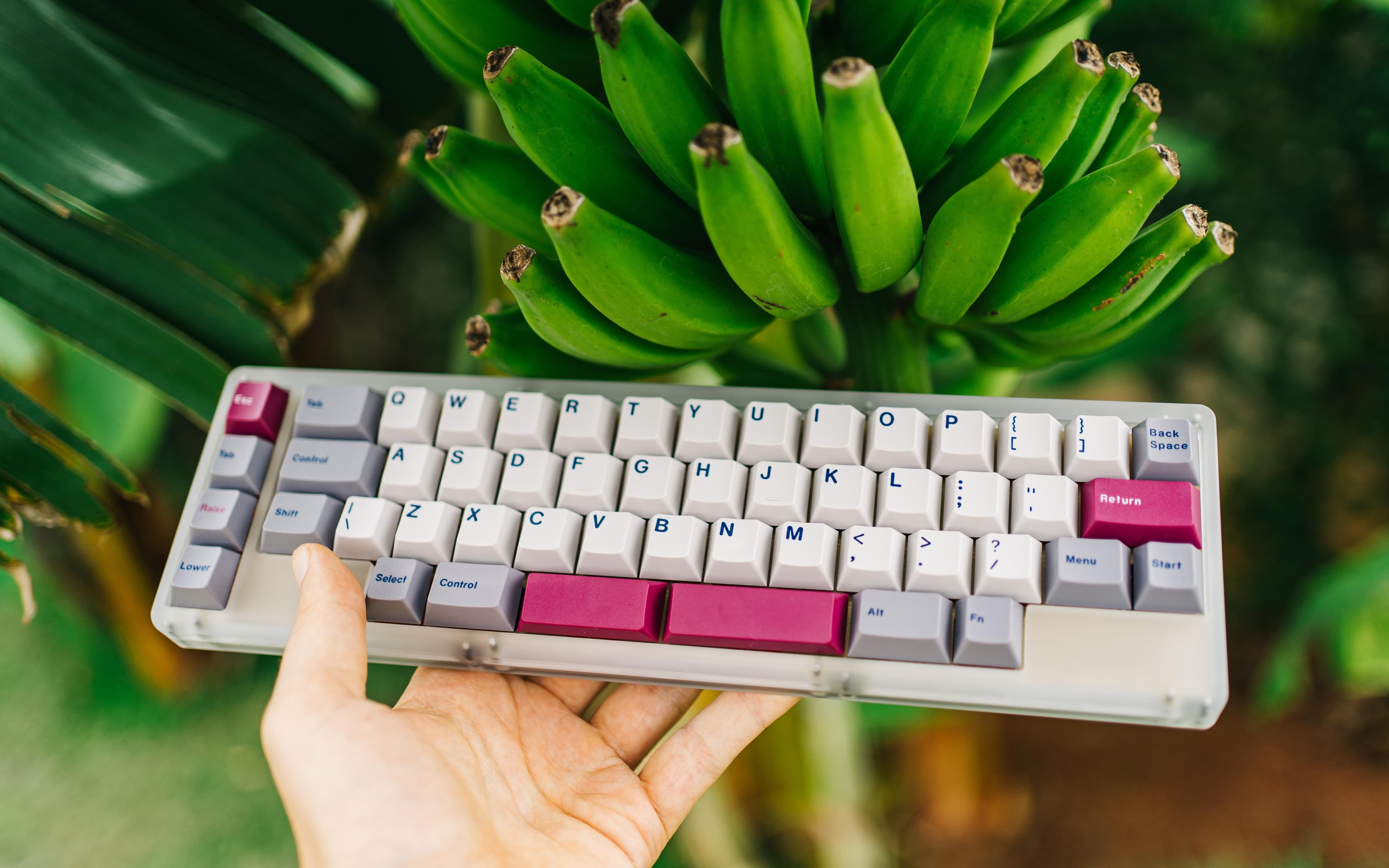 TMOv2 R2 50% keyboard (GB sale ended - onto waiting) image 20