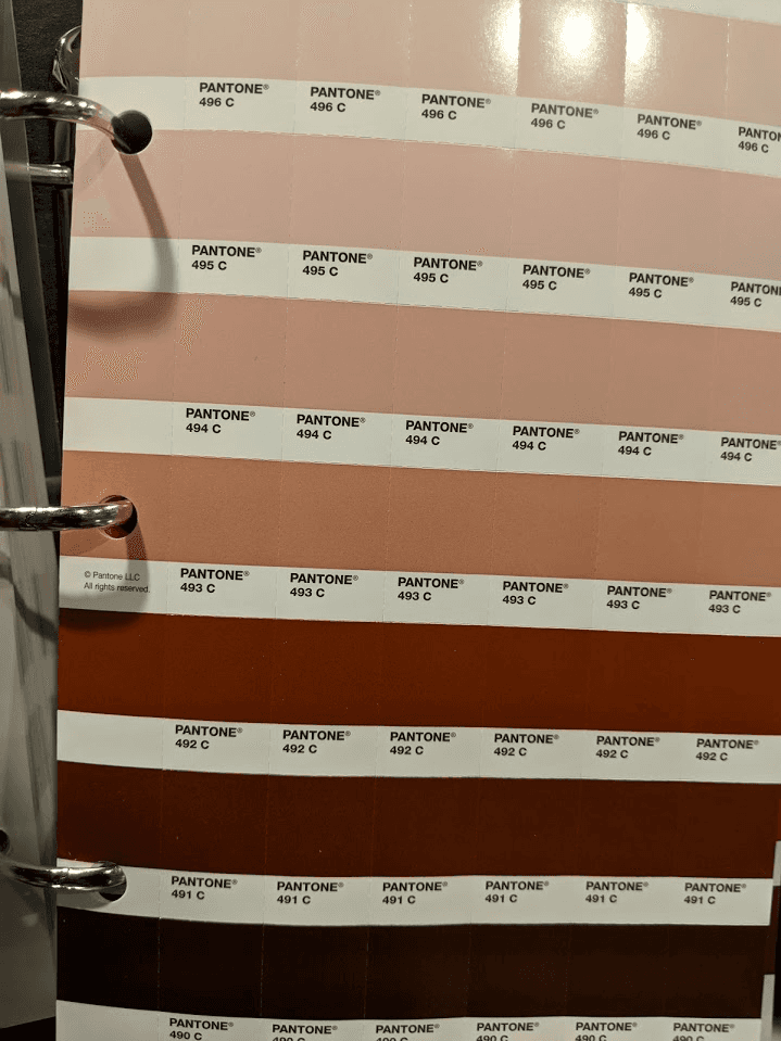 SA Royalty (shipping out now yall) image 6