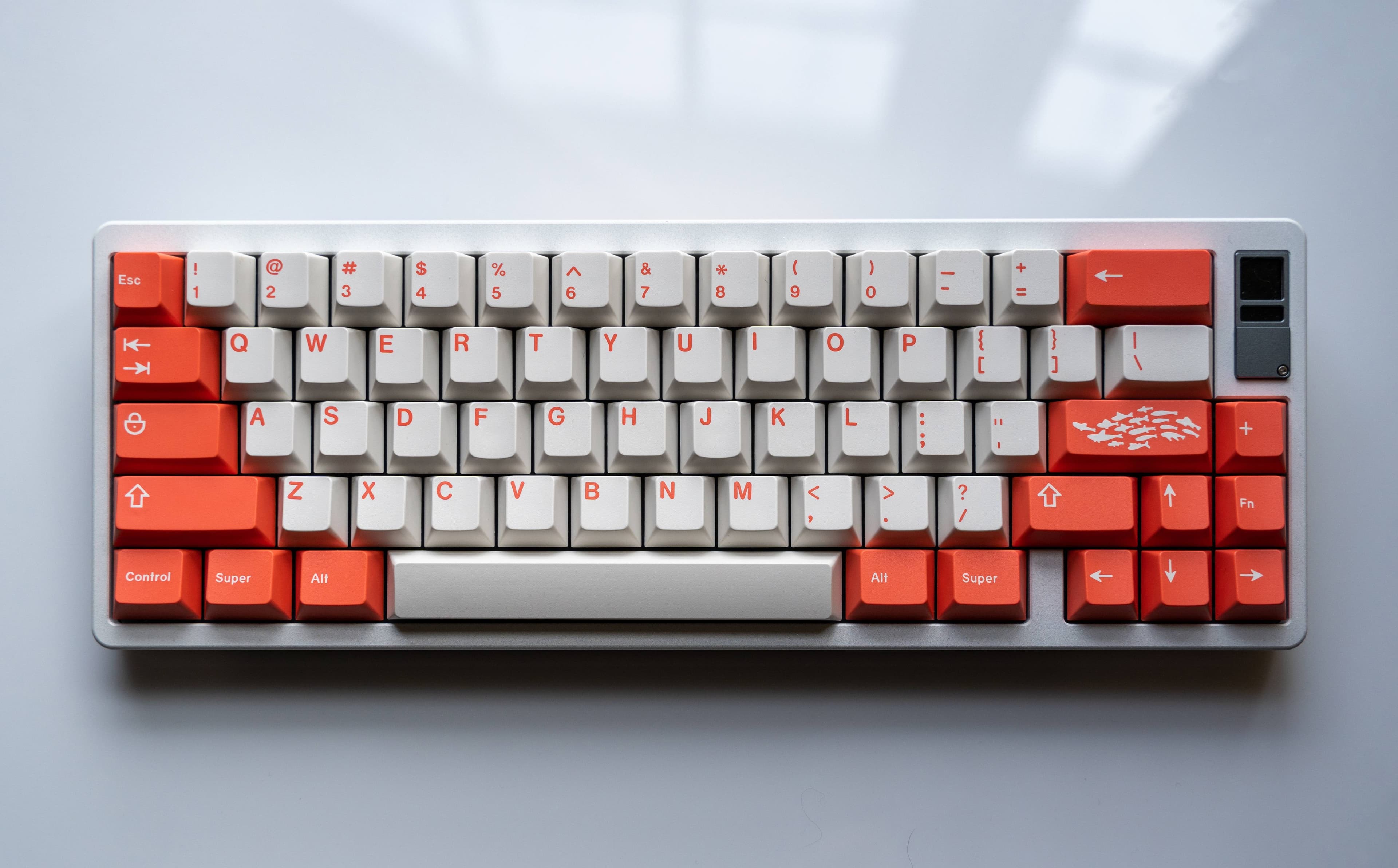 GMK Coral R2 - benefiting the Coral Reef Alliance (GB: 6/22 - 7/15) image 35