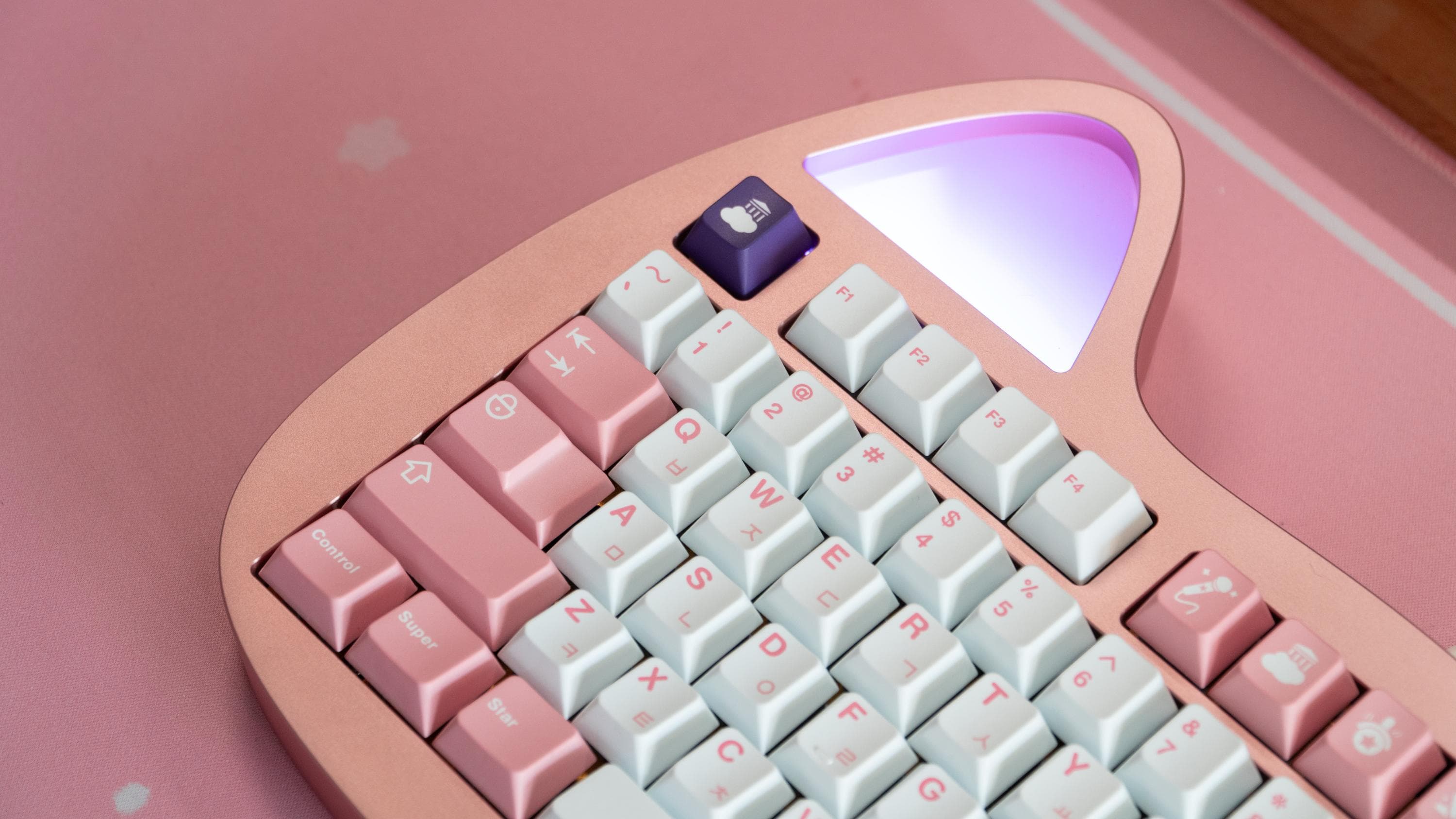 ePBT Superstar | Fulfillment in progress, extras up image 61