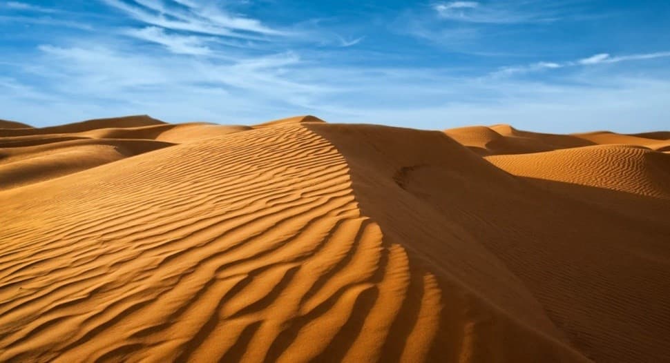 Dune65(GB has started on vendors) image 2