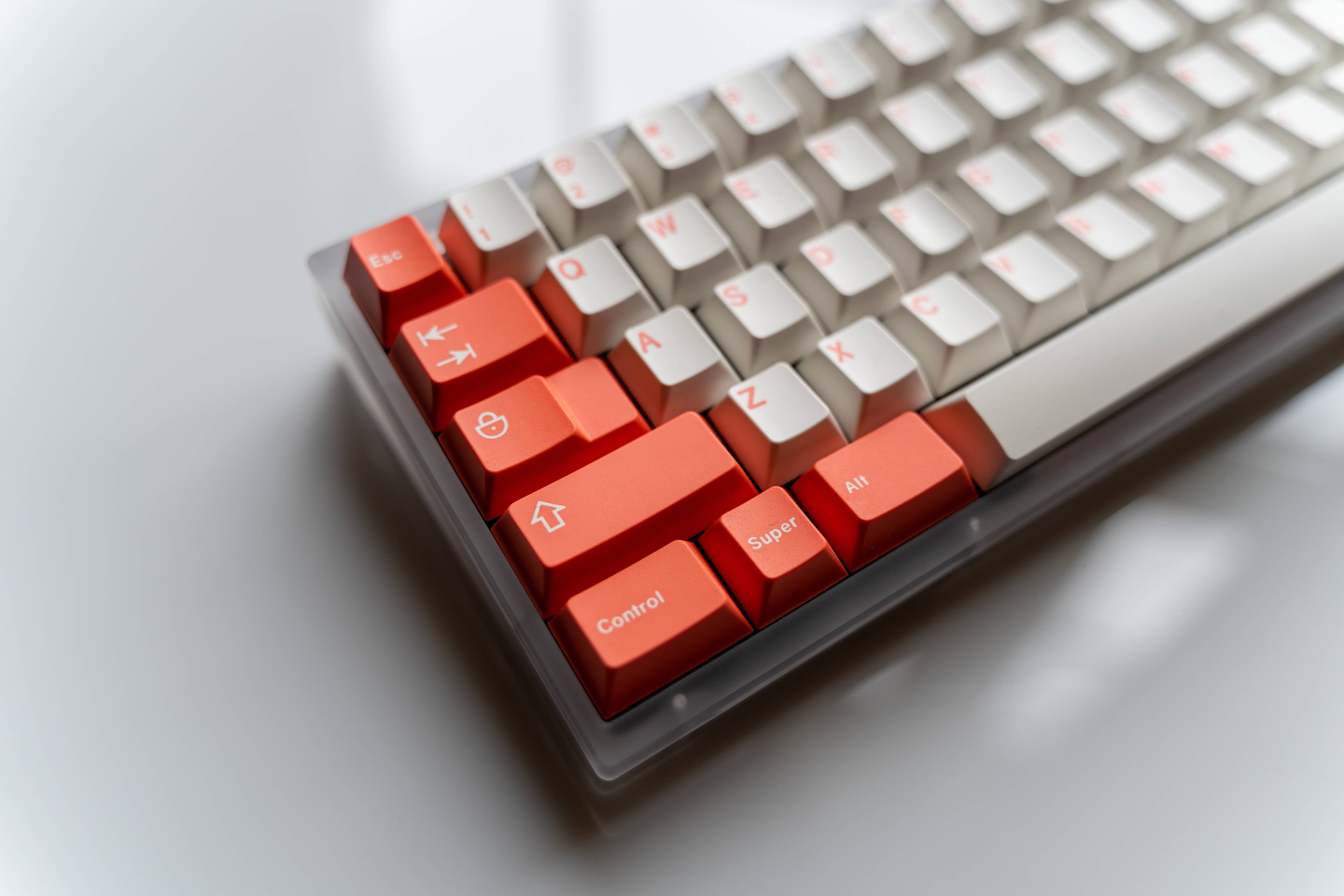GMK Coral R2 - benefiting the Coral Reef Alliance (GB: 6/22 - 7/15) image 14
