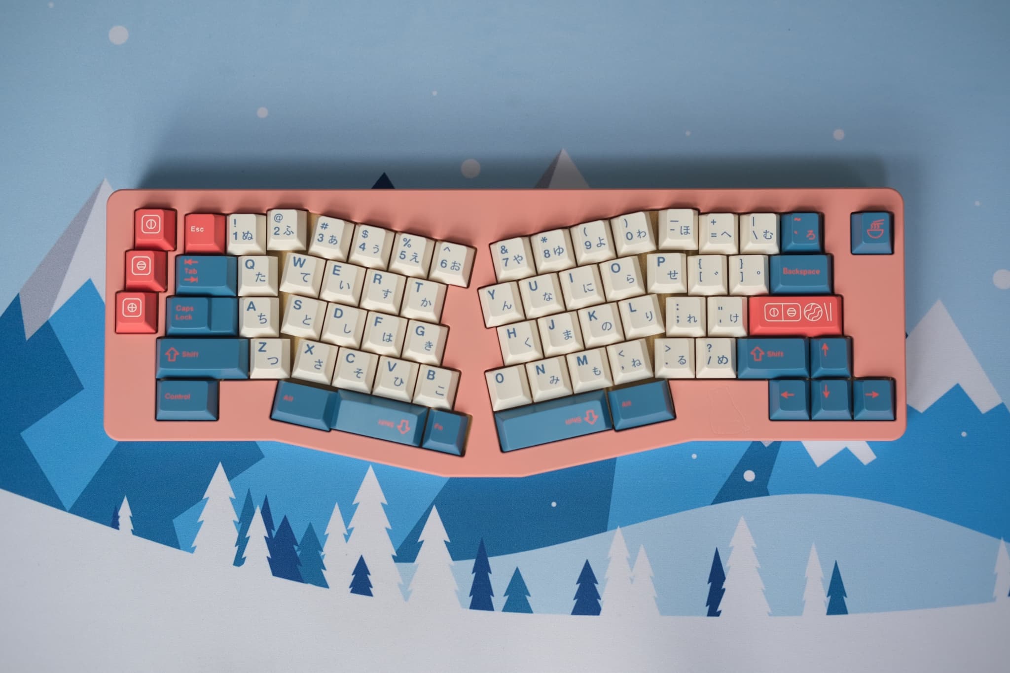 Bear 65% ergo keyboard-(28th July. -> payment checking) image 6