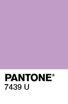 XDA Oblique (complete) image 46