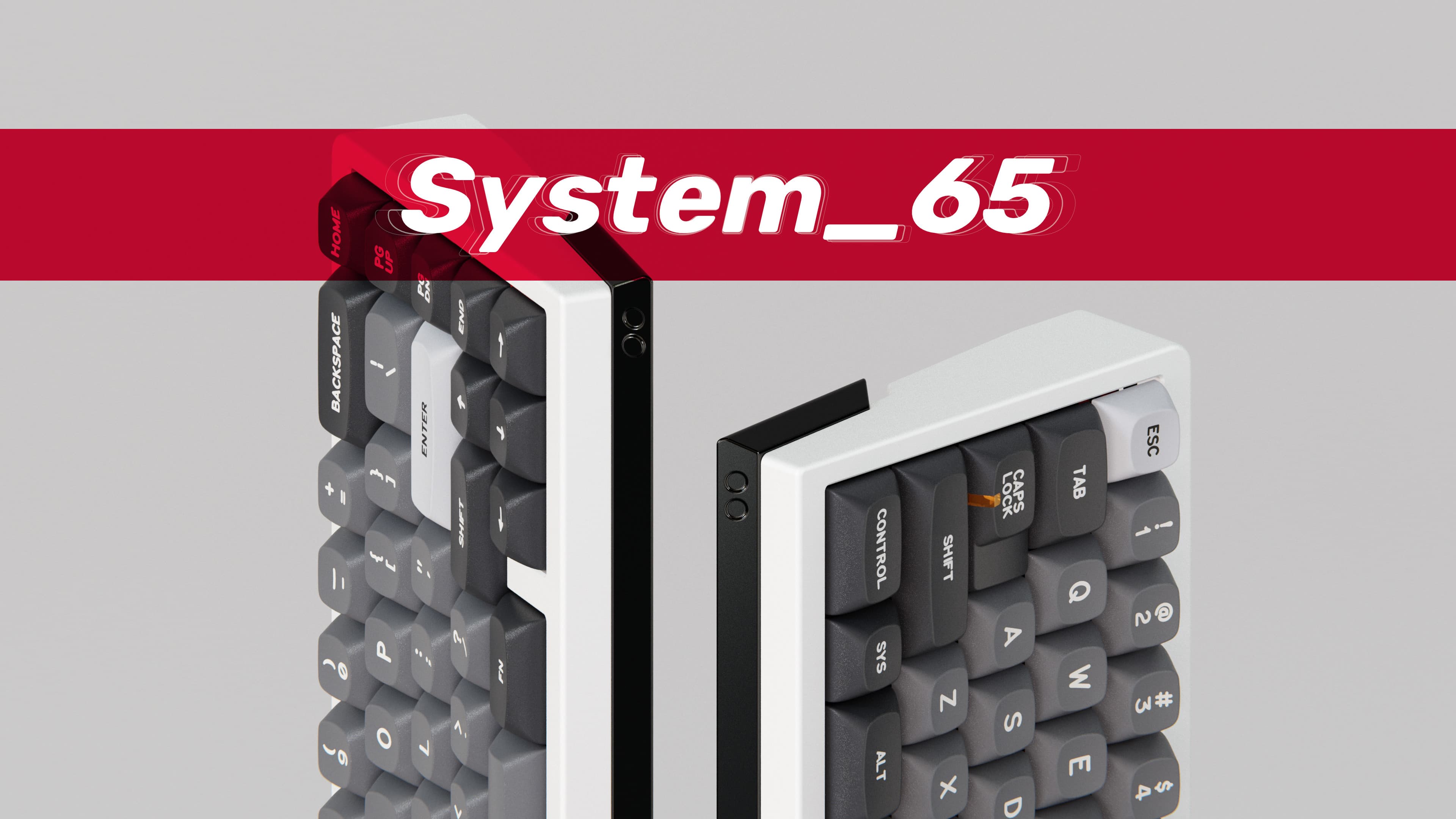 System_65 › Pre-order now available (ends Jan 31, shipping in February)