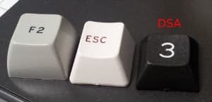 DSA Dolch ISO + Expansions/DSA RGBY/DSA DOLCH Blank Sets [REFUNDING]