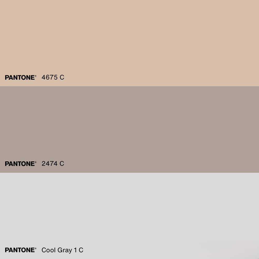 DCS Richat - Preorder Open!! image 13