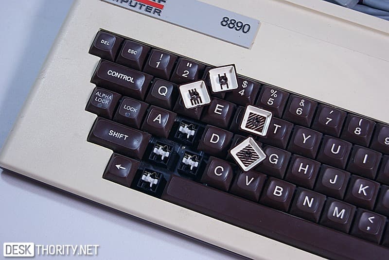 Cherry /White on Brown /