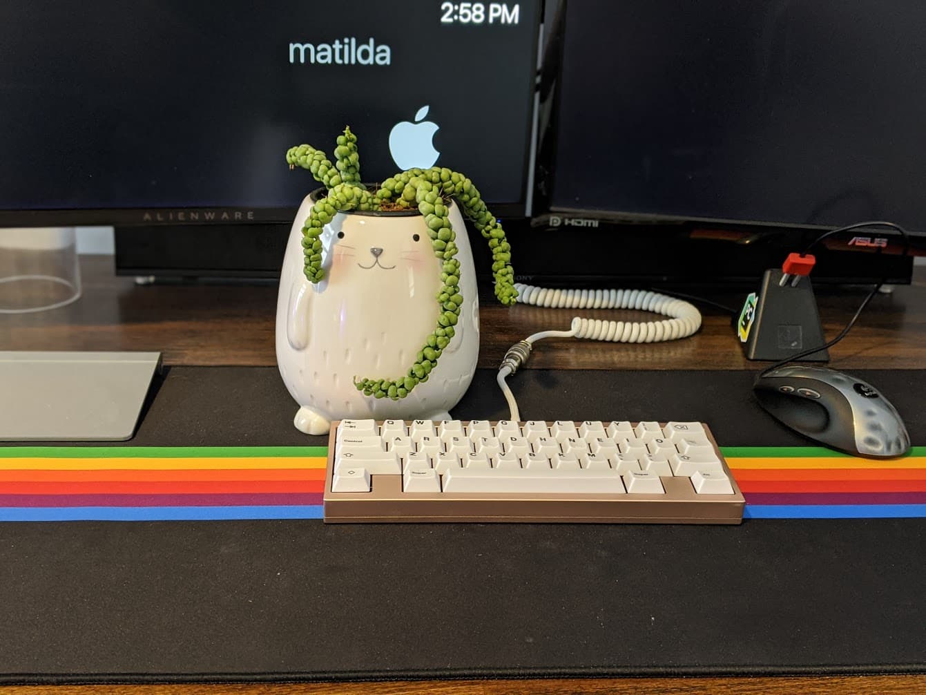 GMK BOTANICAL - Colour Matching Complete! Samples Approved! image 23