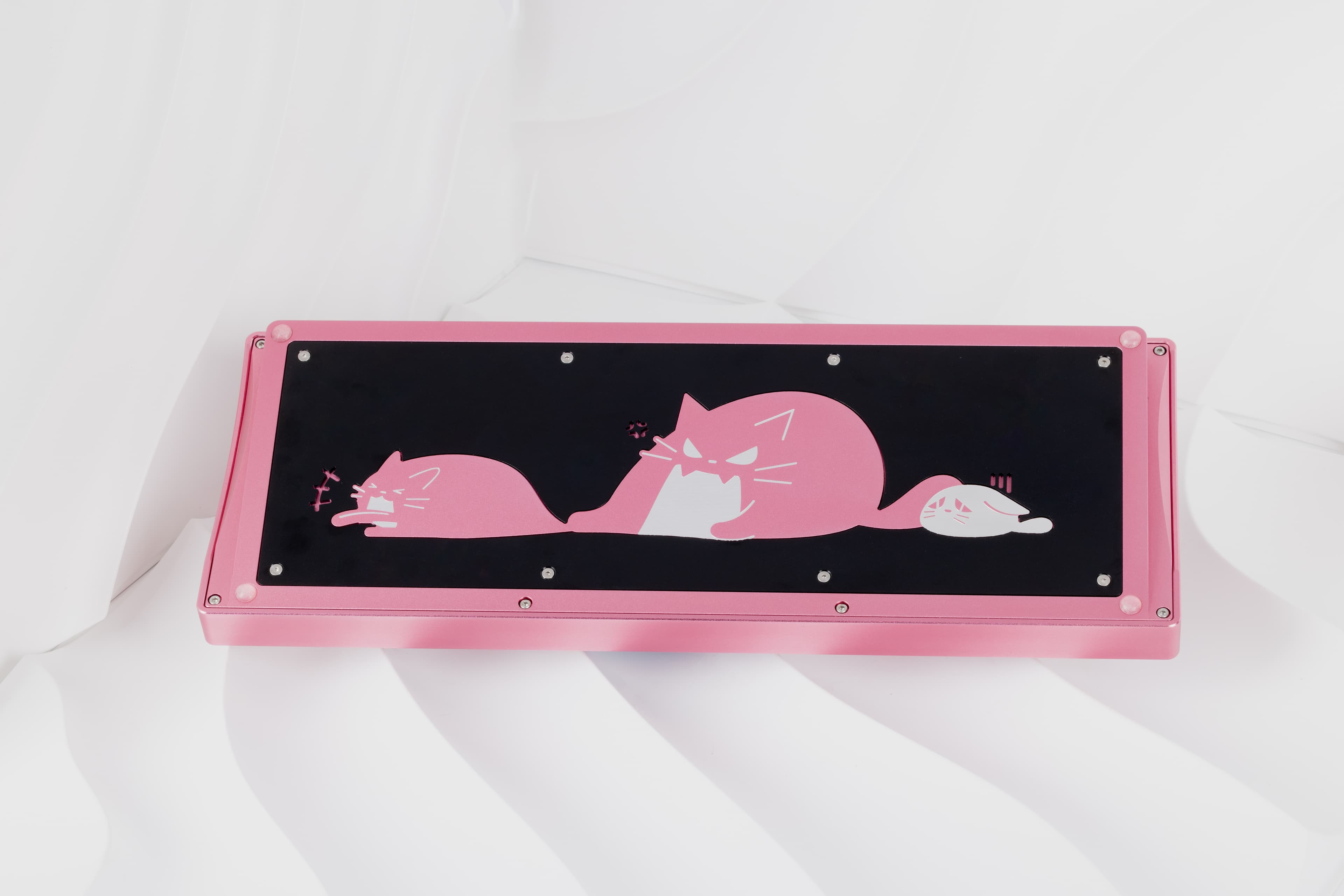 CatX( - F13 TKL with a kitty twist