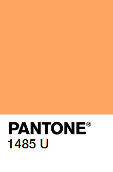 XDA Oblique (complete) image 44