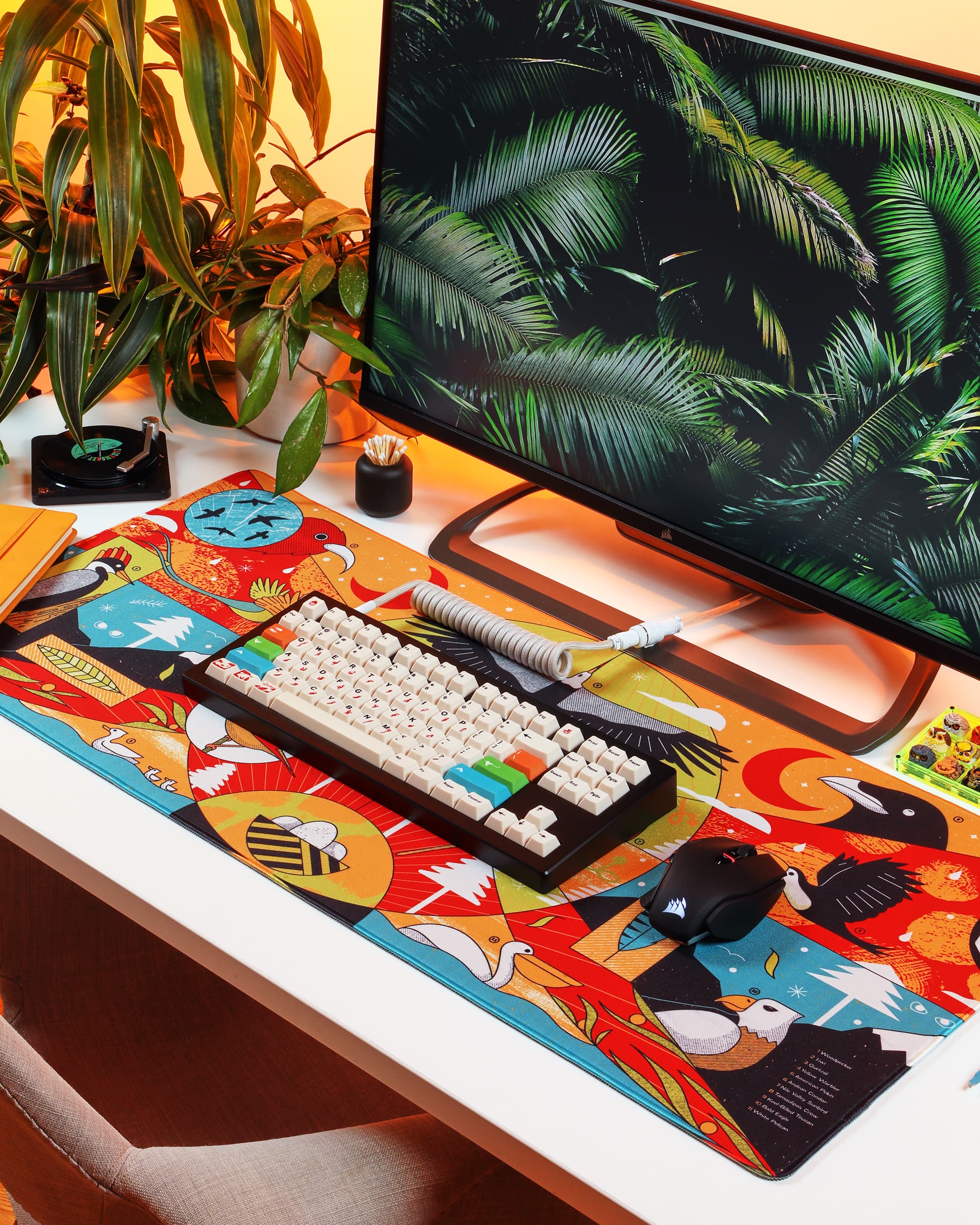 [Preorder]DCD Bird Jungle - Pre order Closed image 2