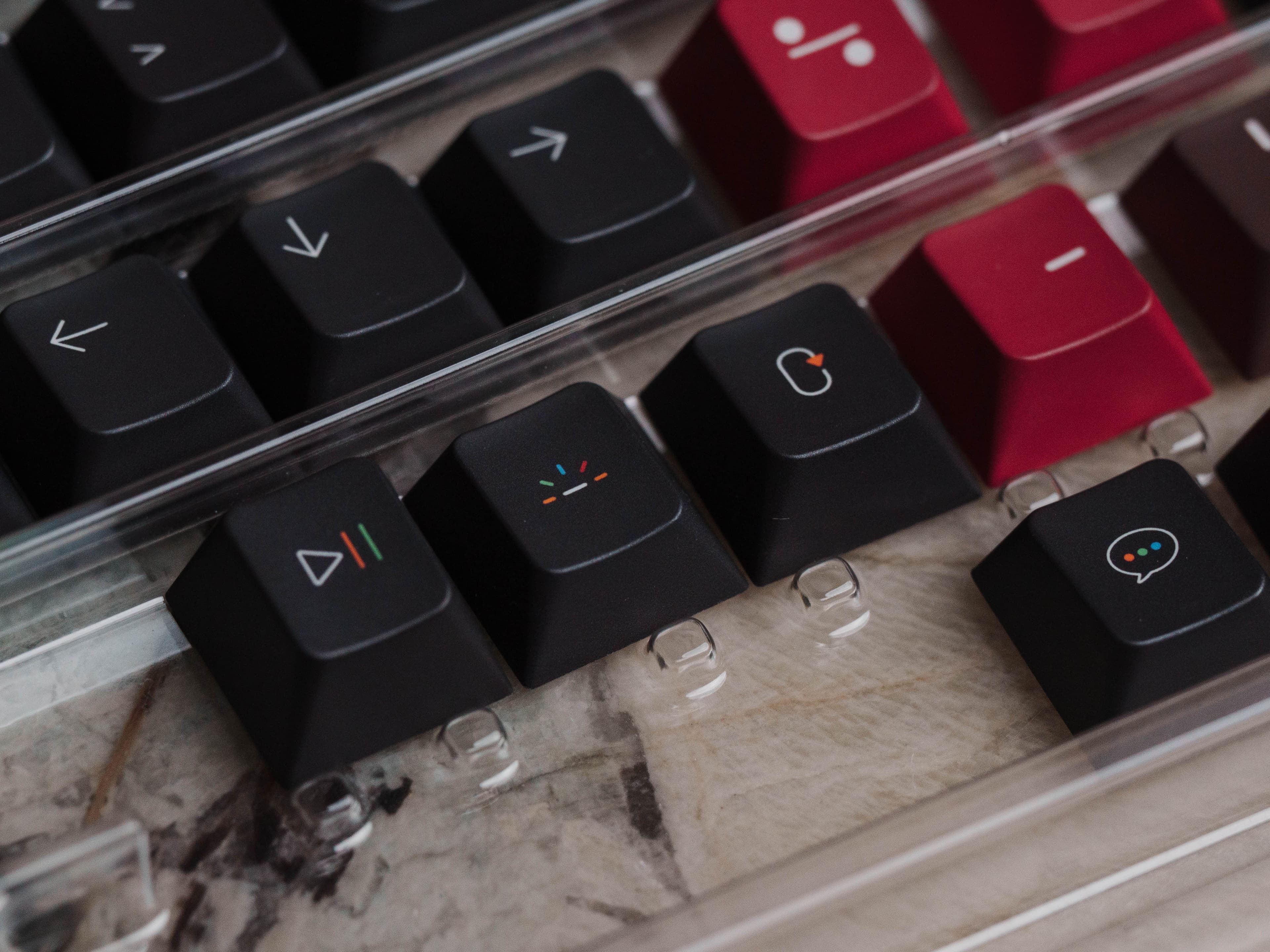 KCH-Pure Player: XY | Beauty of Evolution image 20