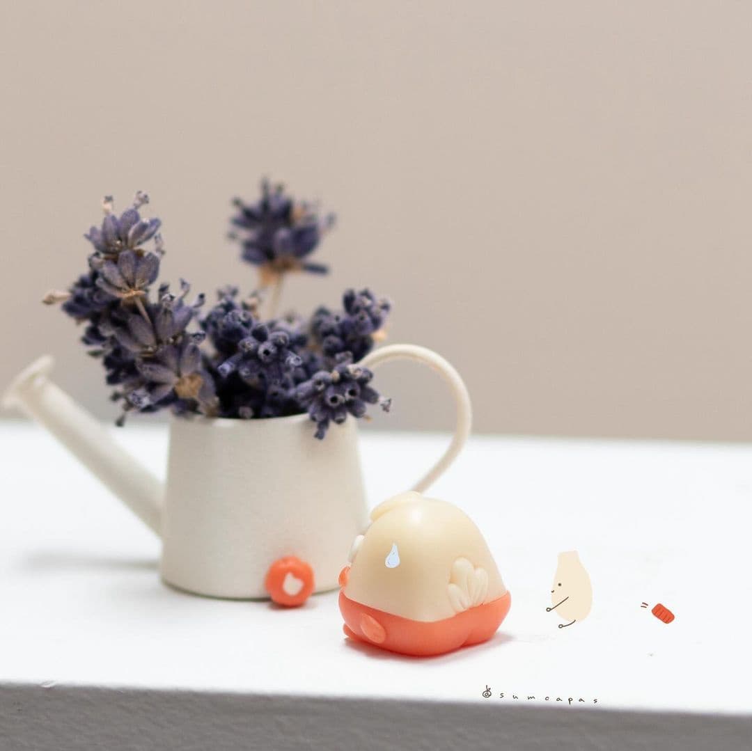 DSA Mayora マヨラー | GB LIVE NOW image 87