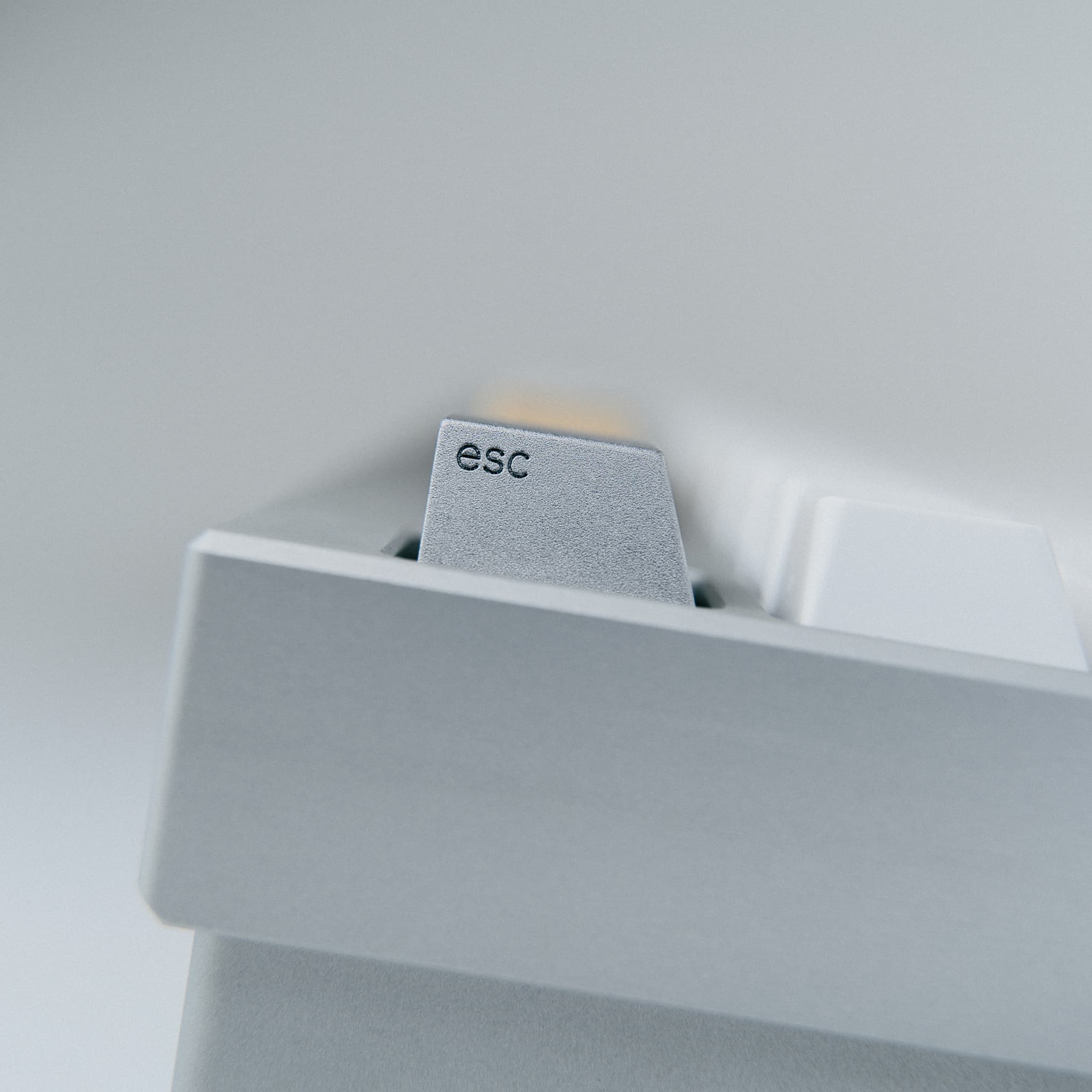 Series 00 | 09/17/2021: Shipping to all 4 vendors! image 13