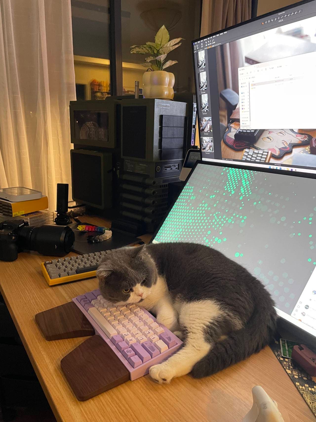 Zero-G Studio X DMK PBT theme keycap "Arrogant Cat" image 19