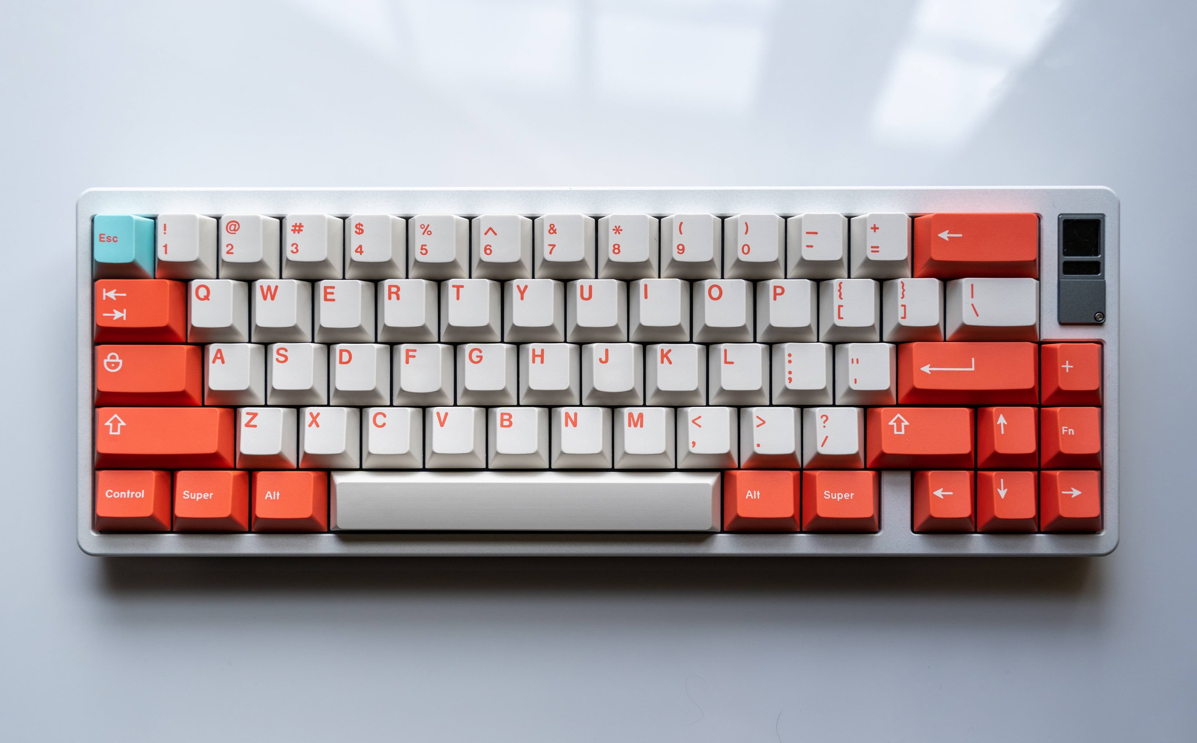 GMK Coral R2 - benefiting the Coral Reef Alliance (GB: 6/22 - 7/15) image 36