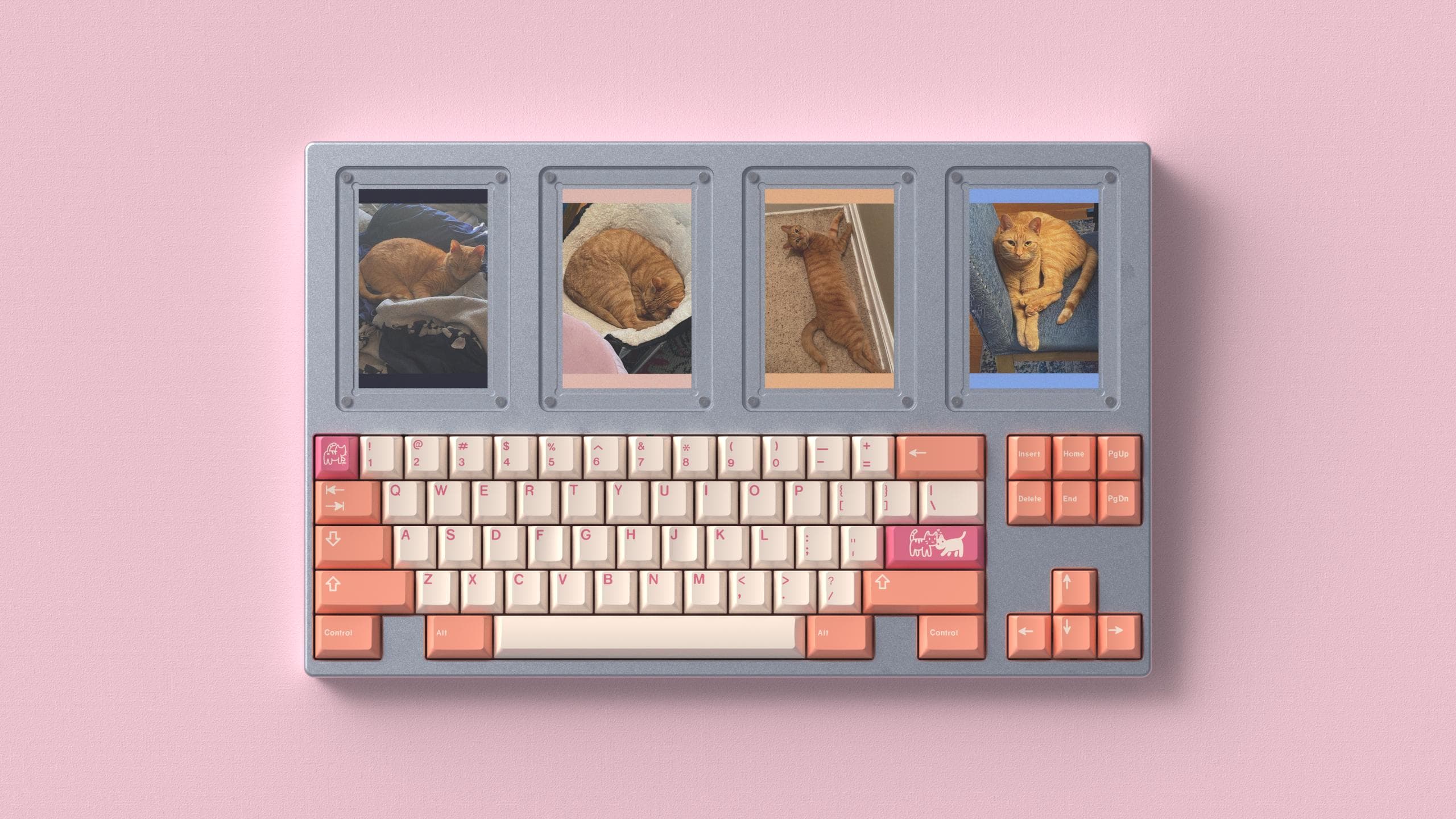 GMK Orange Boi | shipped to vendors + customers image 10