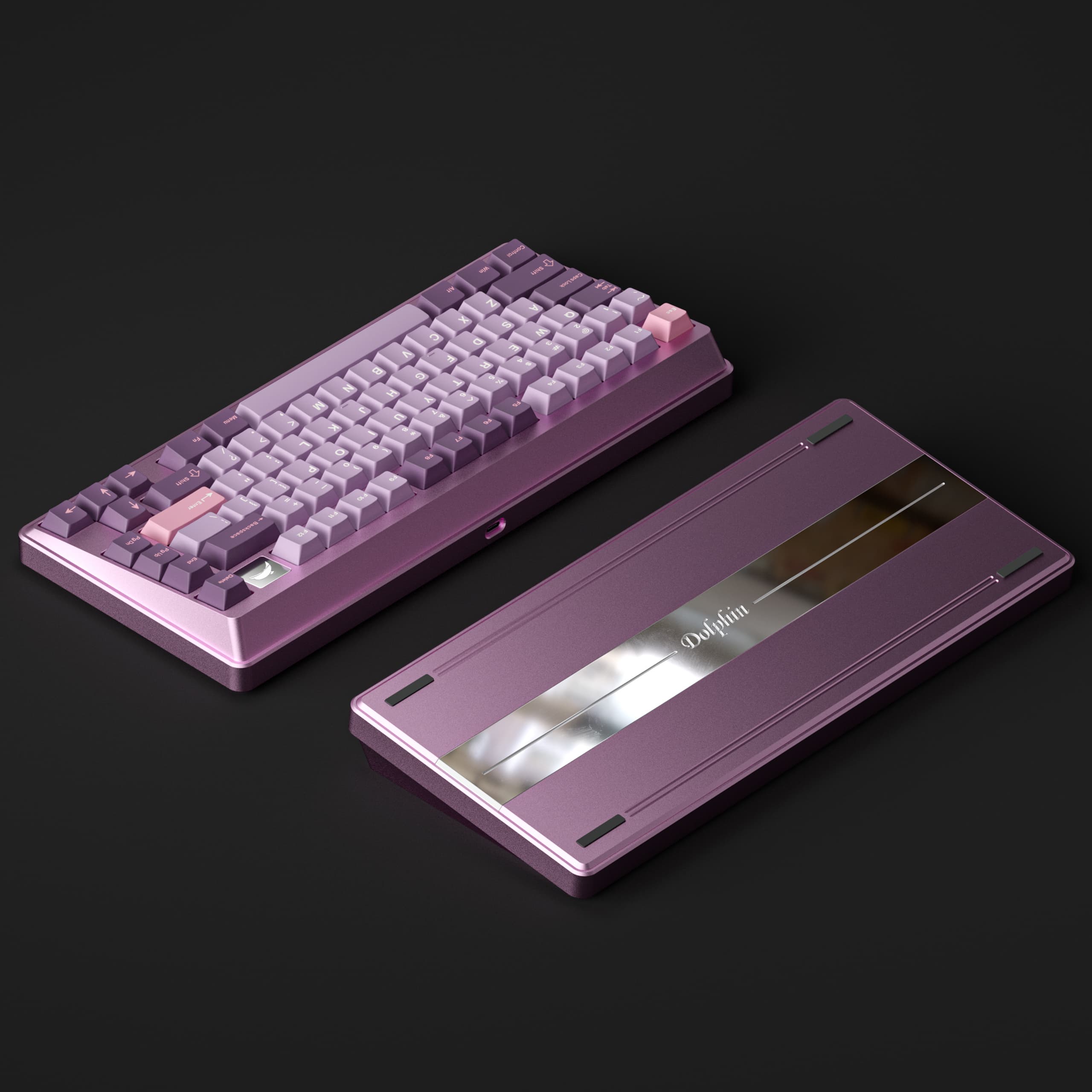 239$ Dolphins75 - 4th to 17th January 2023 image 13