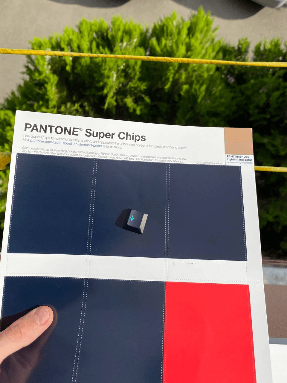 DCX Bim | NOW LIVE! image 4