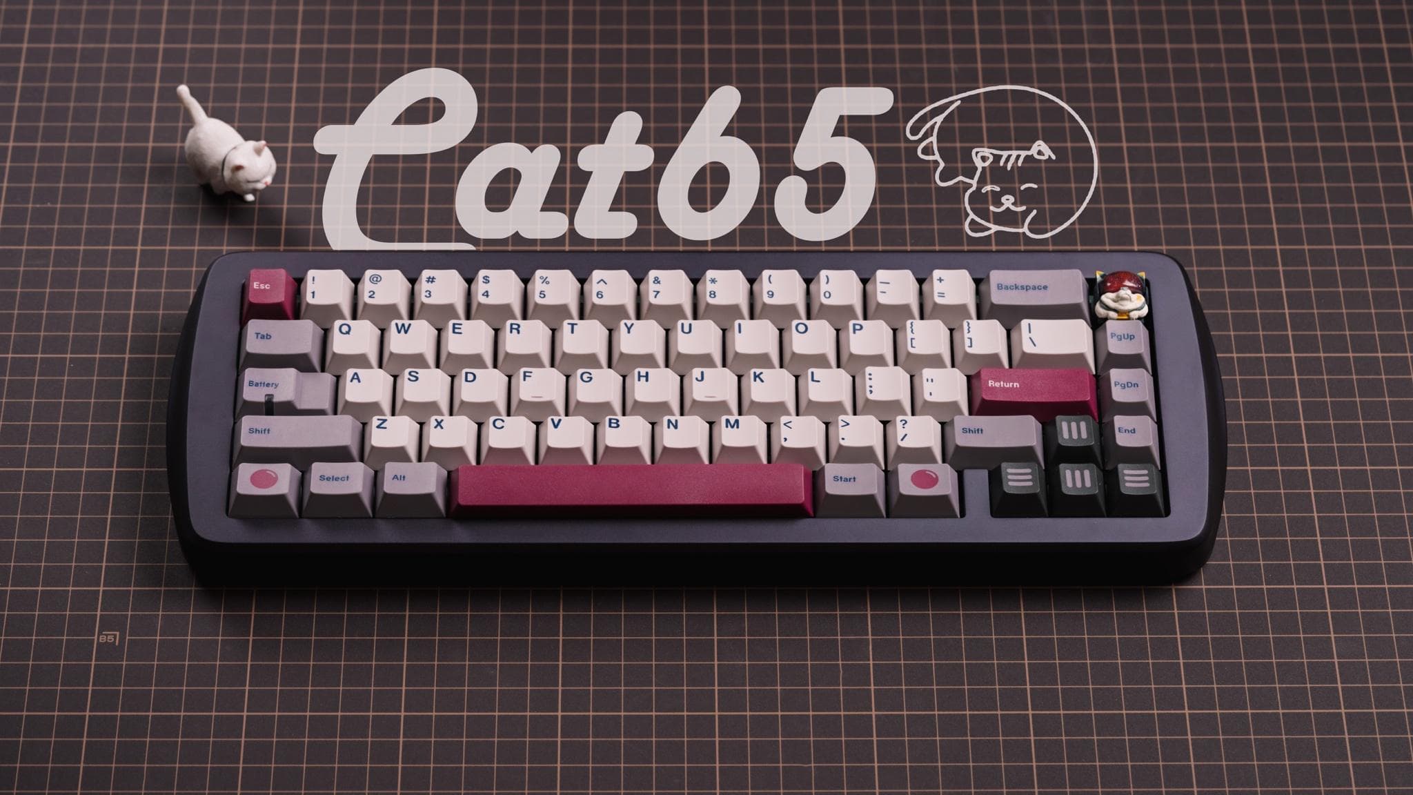 🐈CAT 65 - collaborate with:3ildcat
