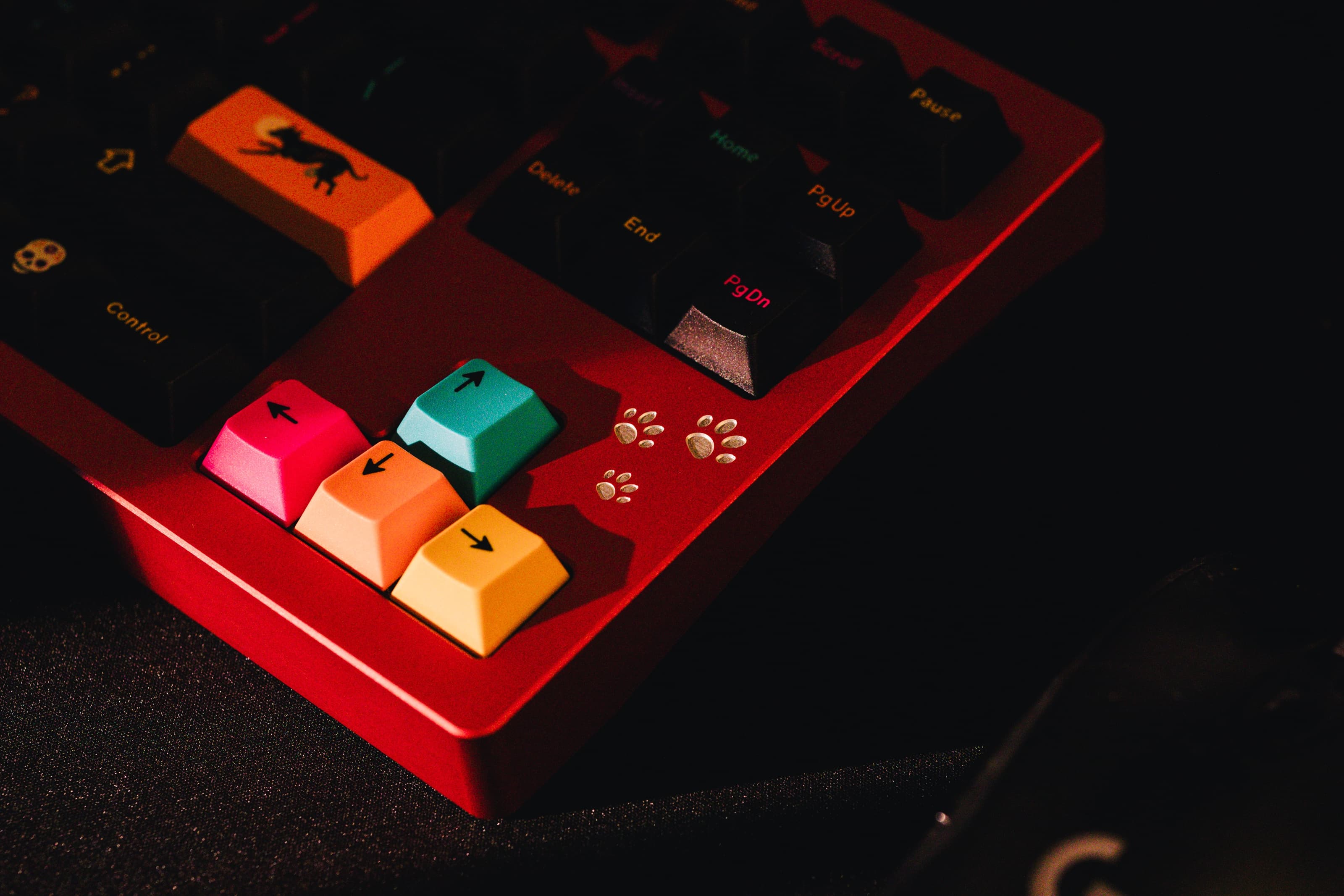 CatX( - F13 TKL with a kitty twist image 10