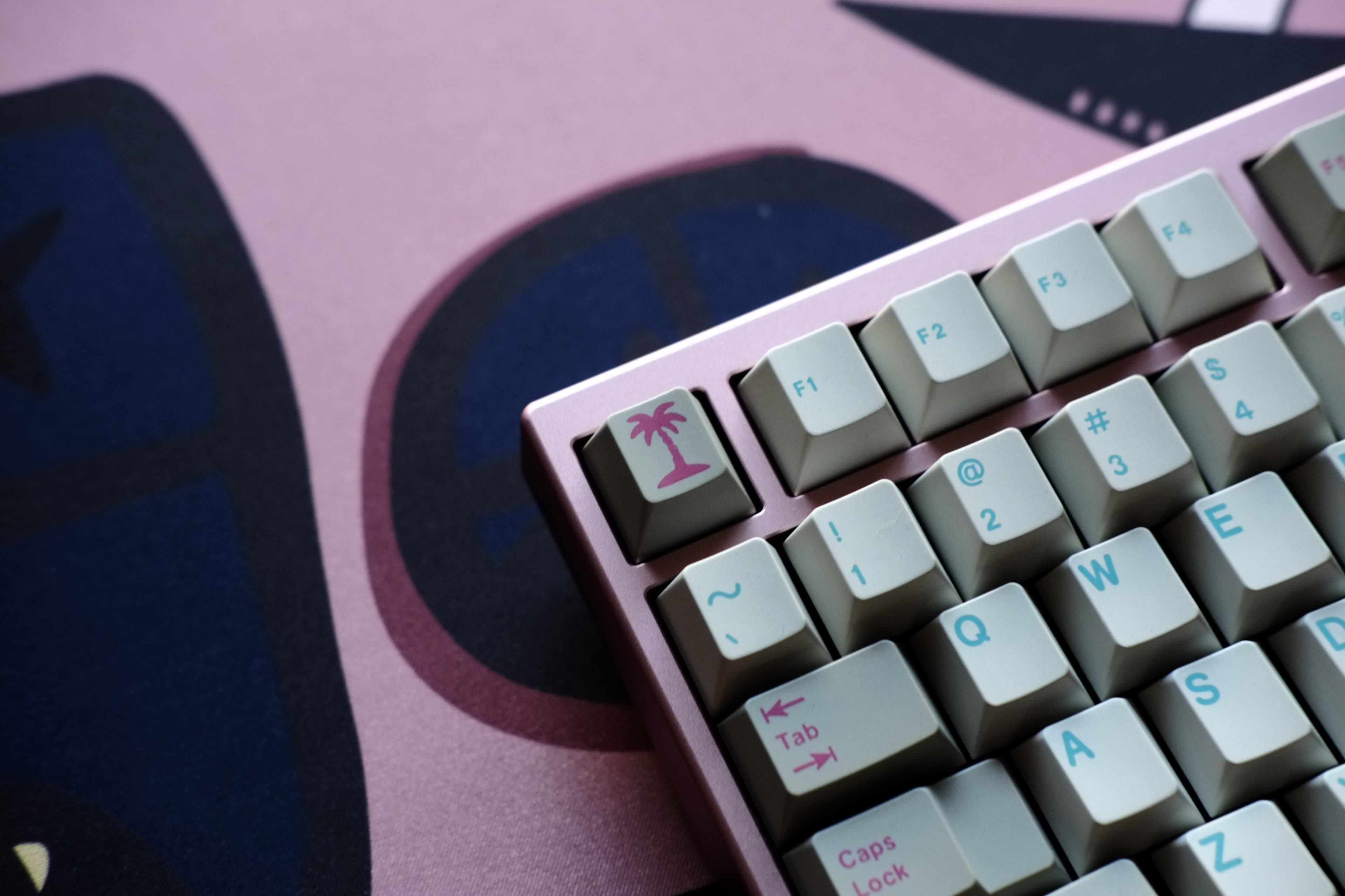 Keykobo Miami Dawn image 18