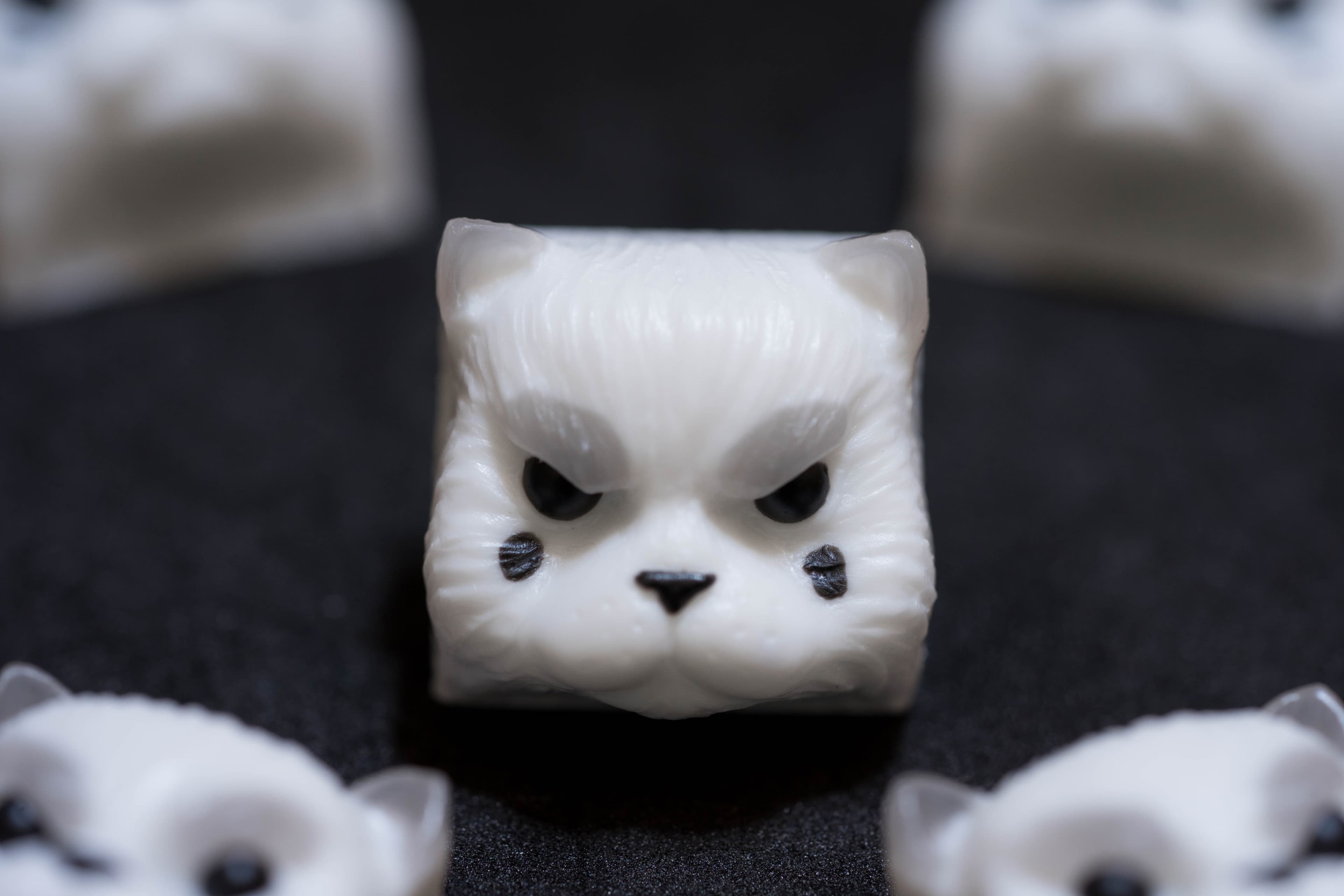 KAT Monochrome image 69