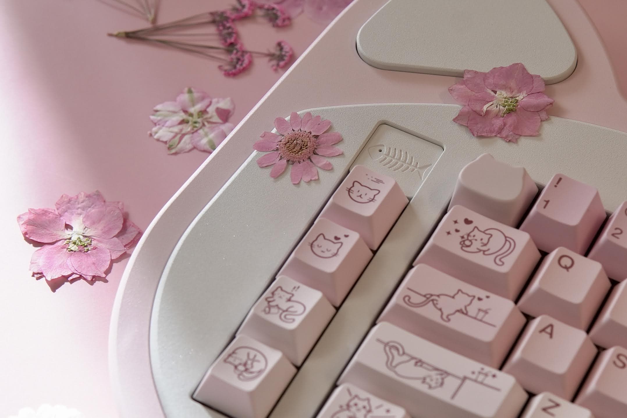 SplittyKitty - A Cat-Themed 65% Split Keyboard !GB IS LIVE! image 5