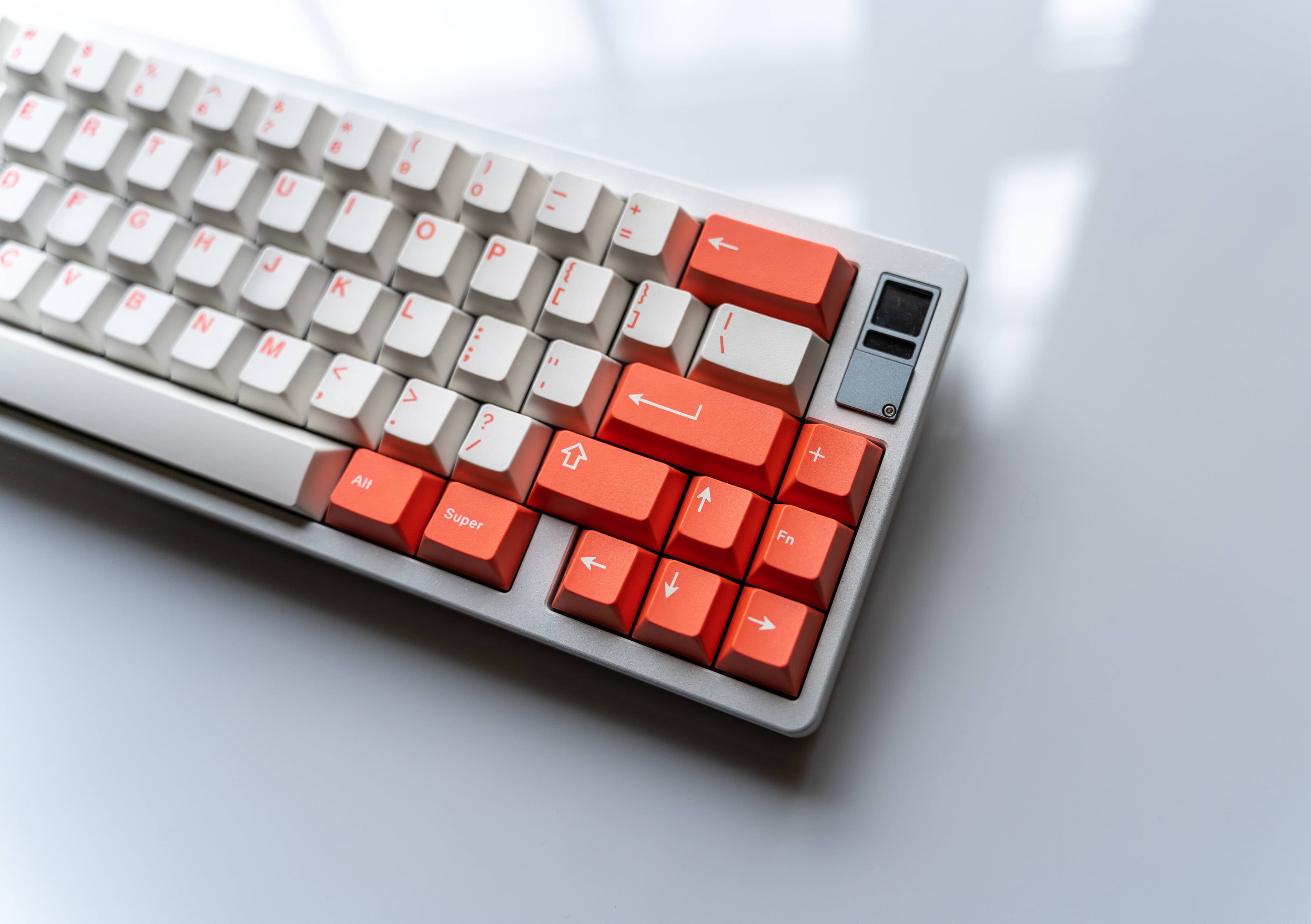 GMK Coral R2 - benefiting the Coral Reef Alliance (GB: 6/22 - 7/15) image 28
