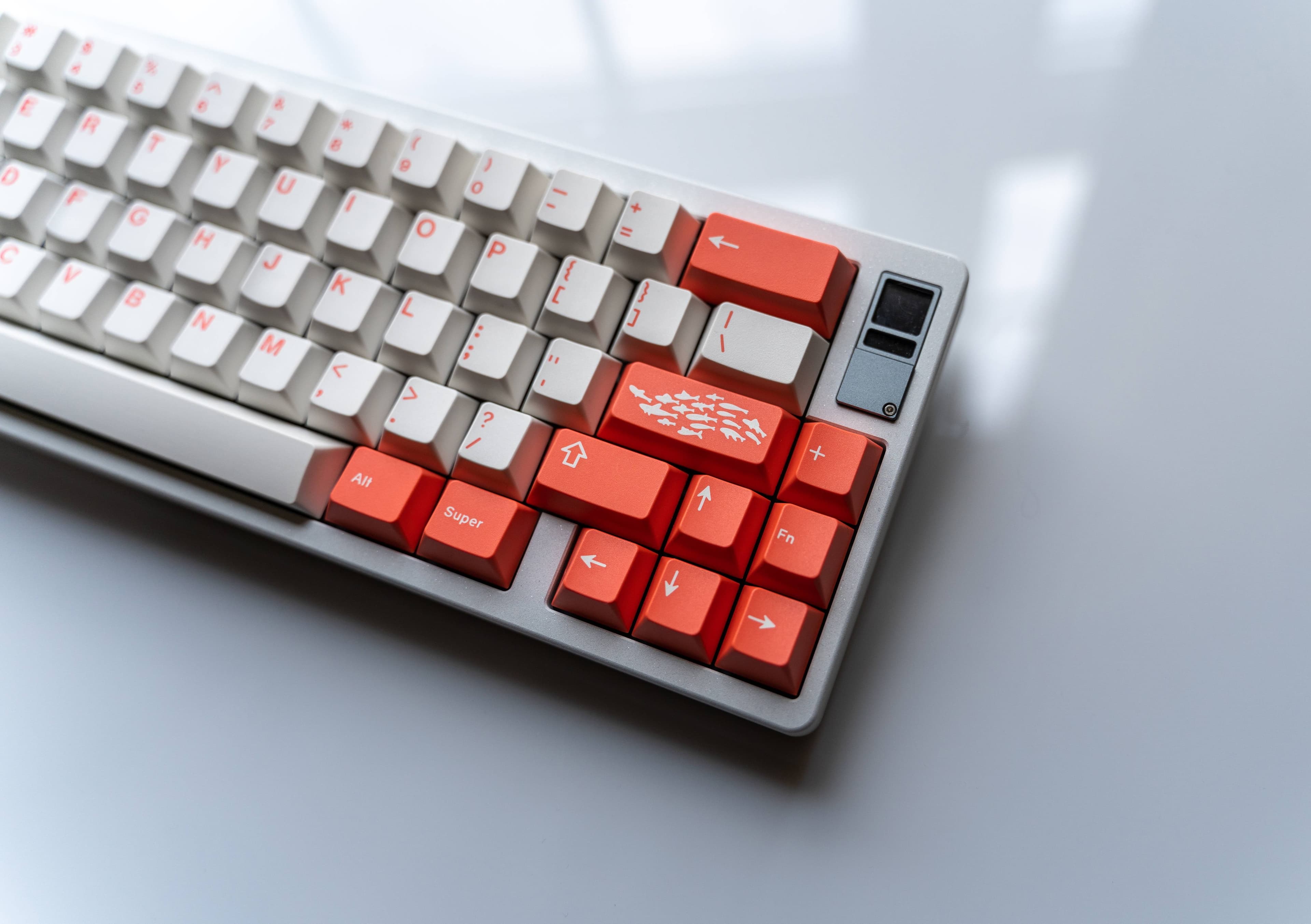 GMK Coral R2 - benefiting the Coral Reef Alliance (GB: 6/22 - 7/15) image 30