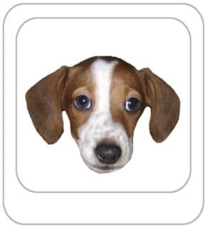 kmiller8 Dyesubs Round 2 (LoL Teams, Video Game Things, Raise 'em)