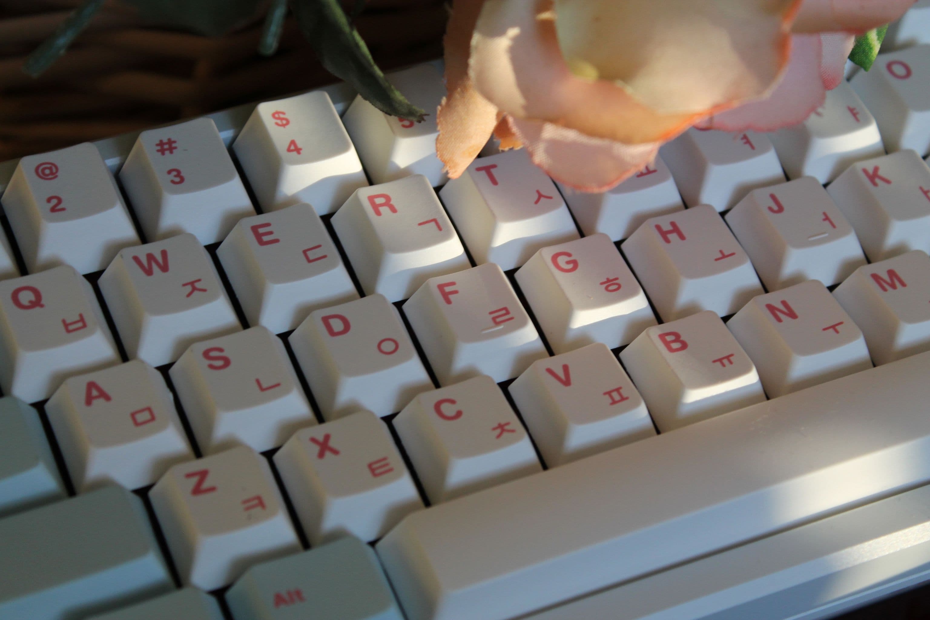 Milkyway Velvet Currently Live :] image 28