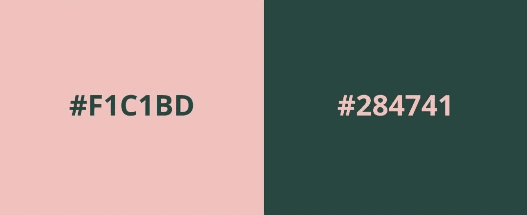 [Pre-order] ePBT Flower | Last Week image 18