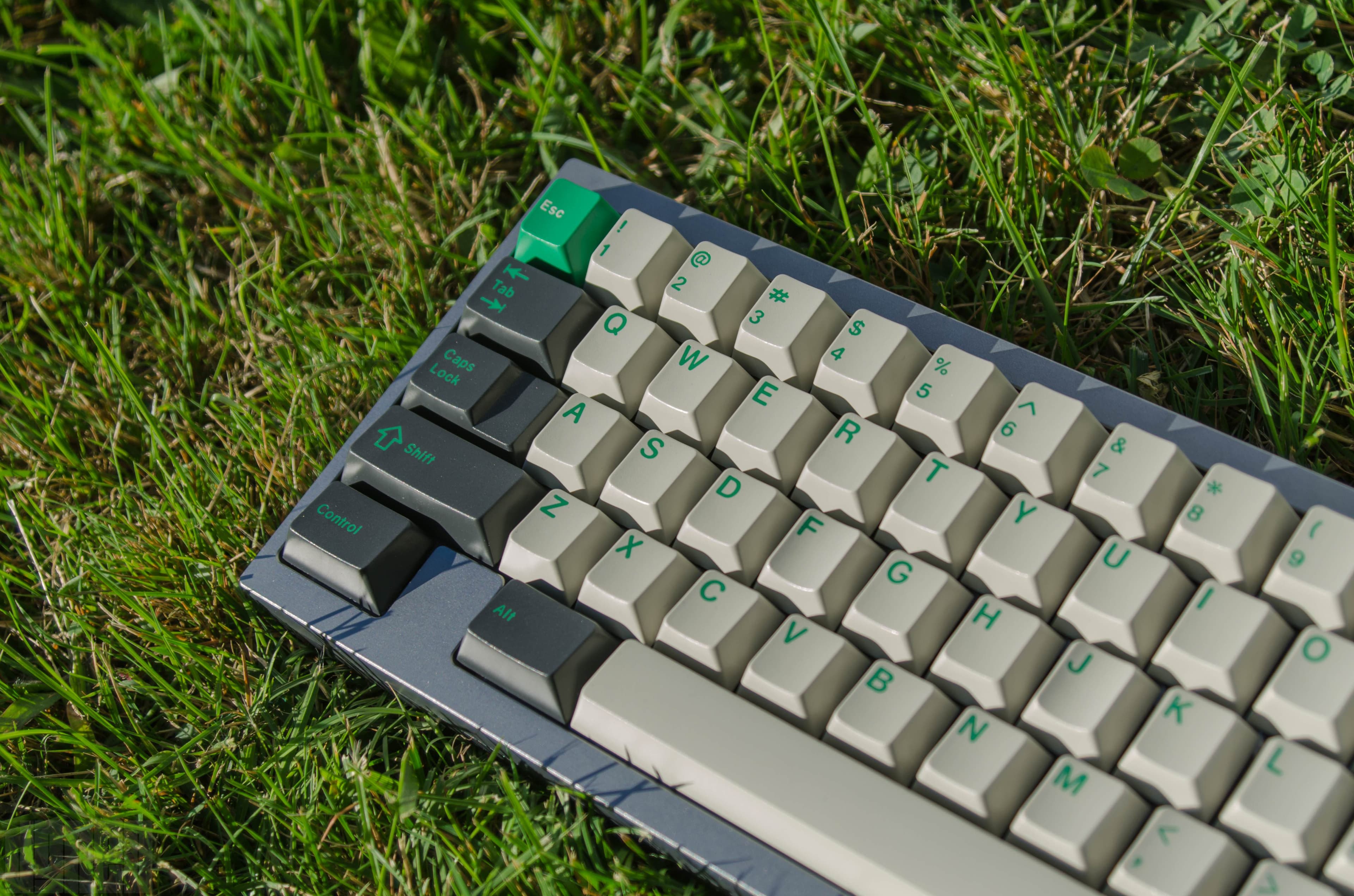 GMK CYL Coniferous R2.5 - November 28th GB image 3
